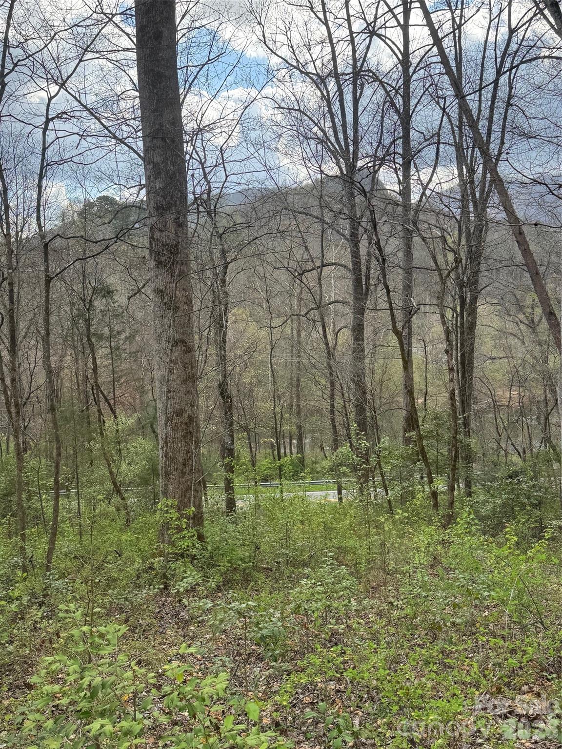 315 N River Road — Sylva