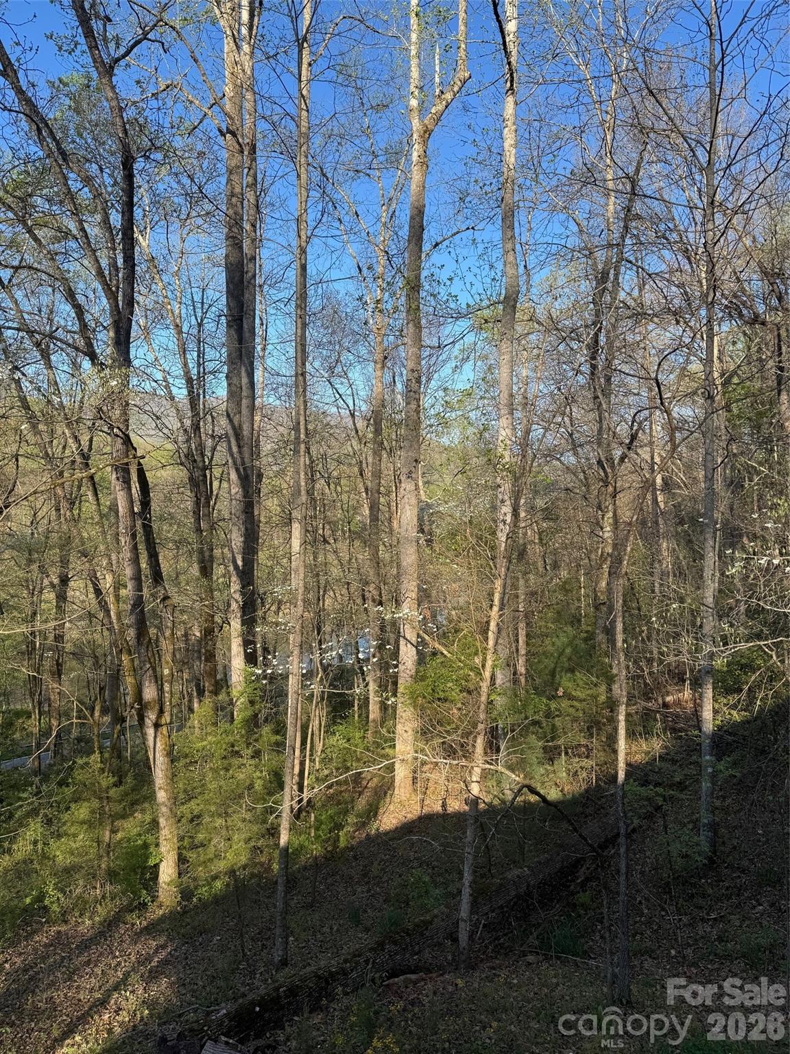 315 N River Road — Sylva