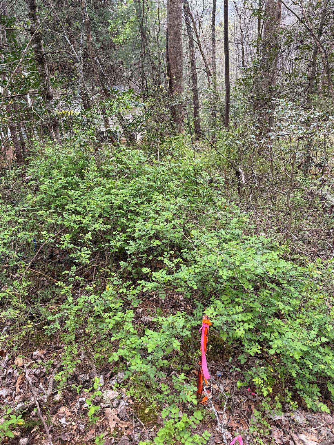 315 N River Road — Sylva