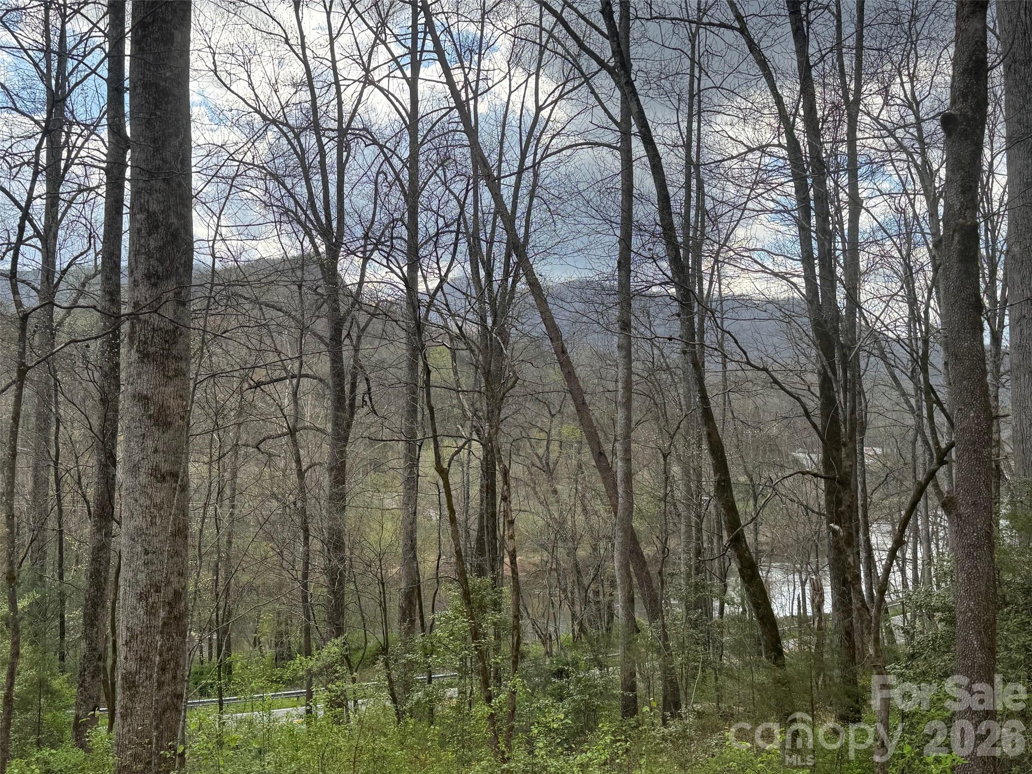 315 N River Road — Sylva