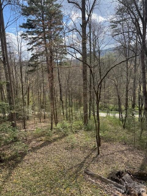 315 N River Road — Sylva