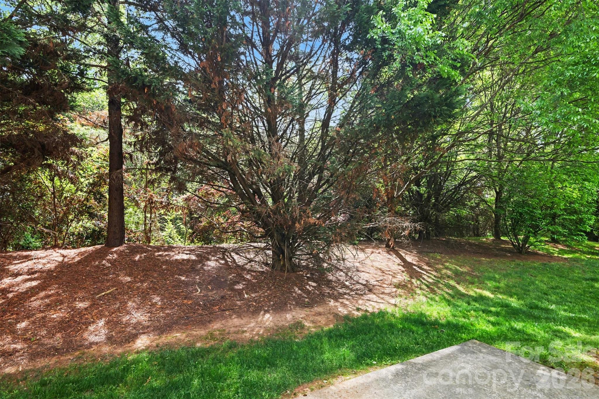 13504 Calloway Glen Drive — Charlotte