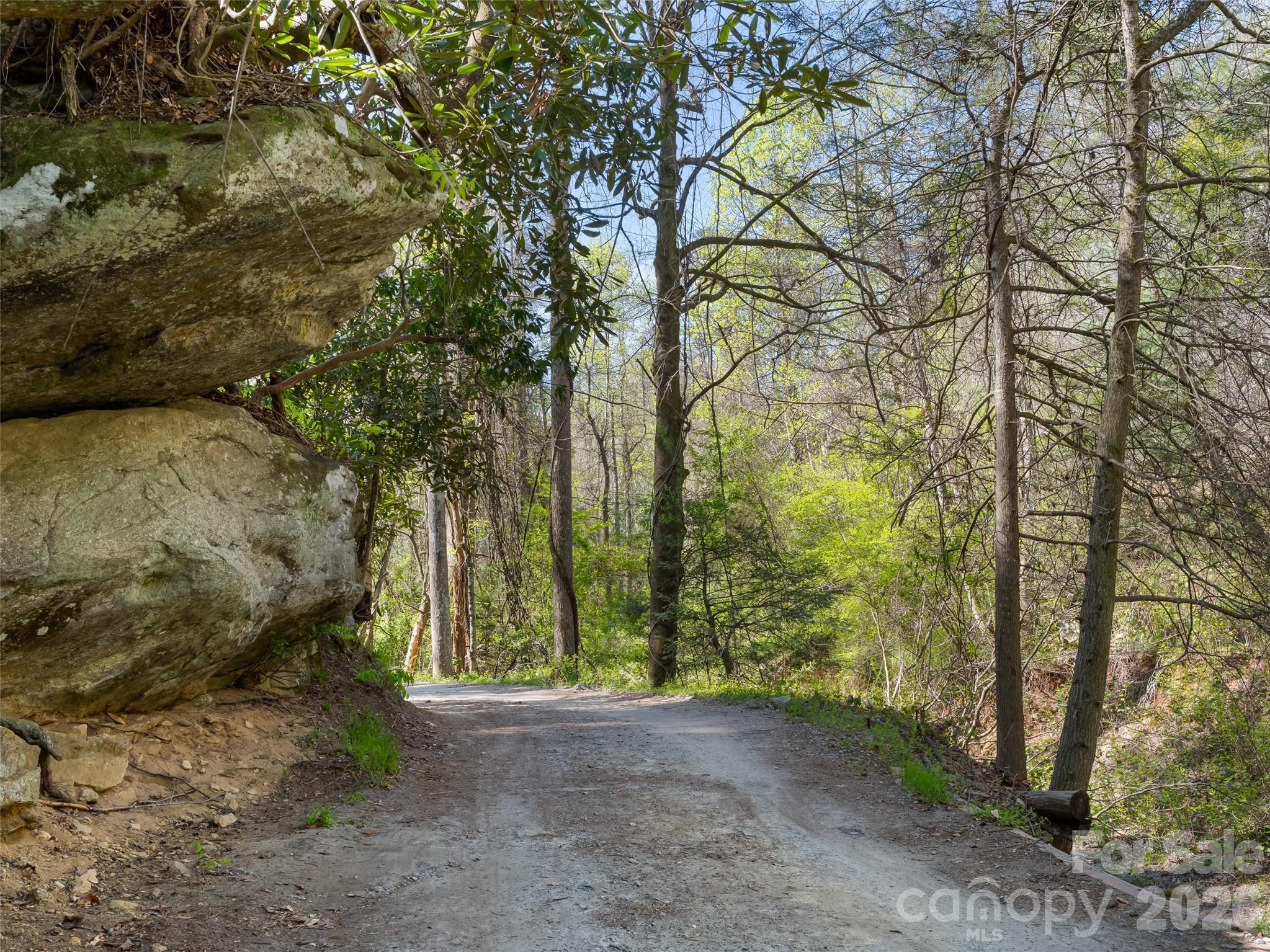 40 Morning Dove Lane — Flat Rock