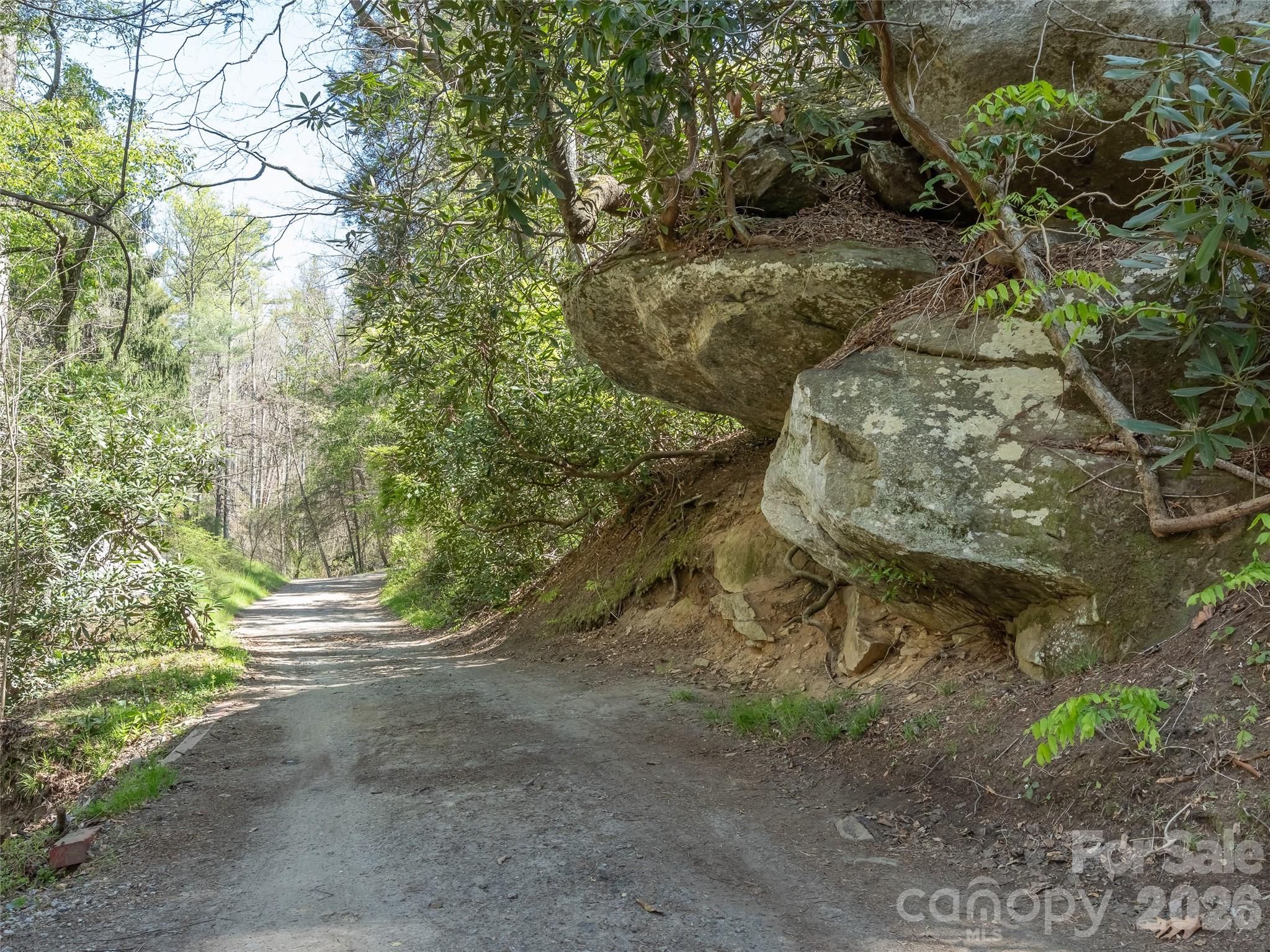 40 Morning Dove Lane — Flat Rock
