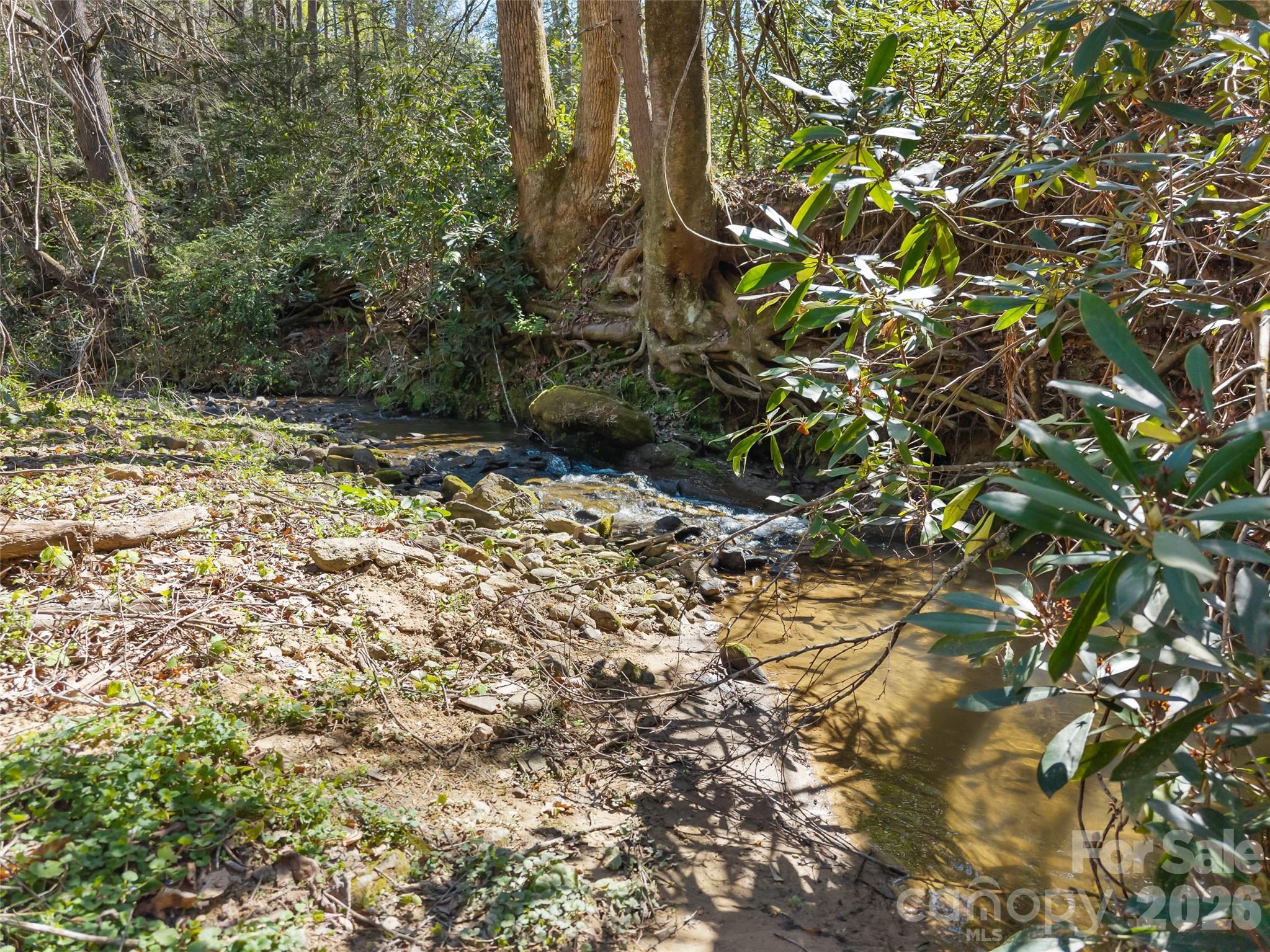40 Morning Dove Lane — Flat Rock