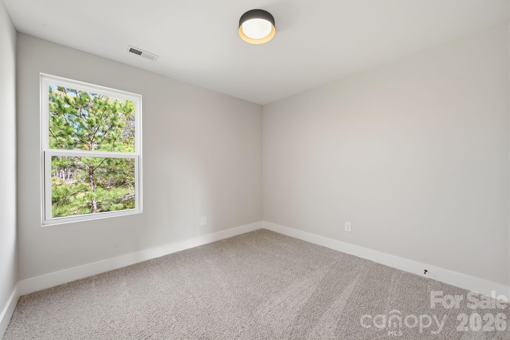 1433 Hilltop Street — Albemarle