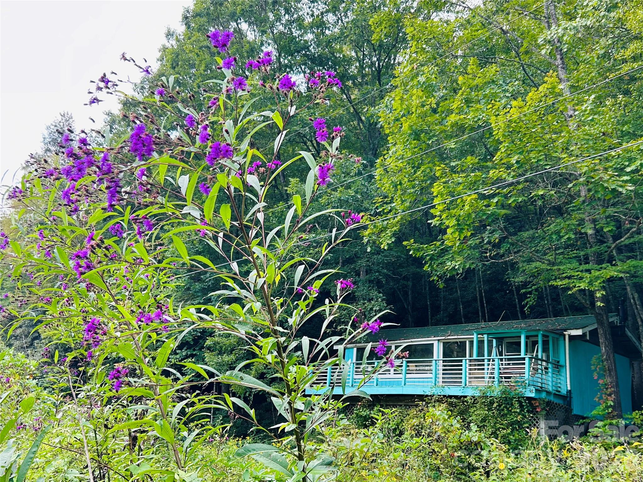 586 Liberty Church Road — Marion