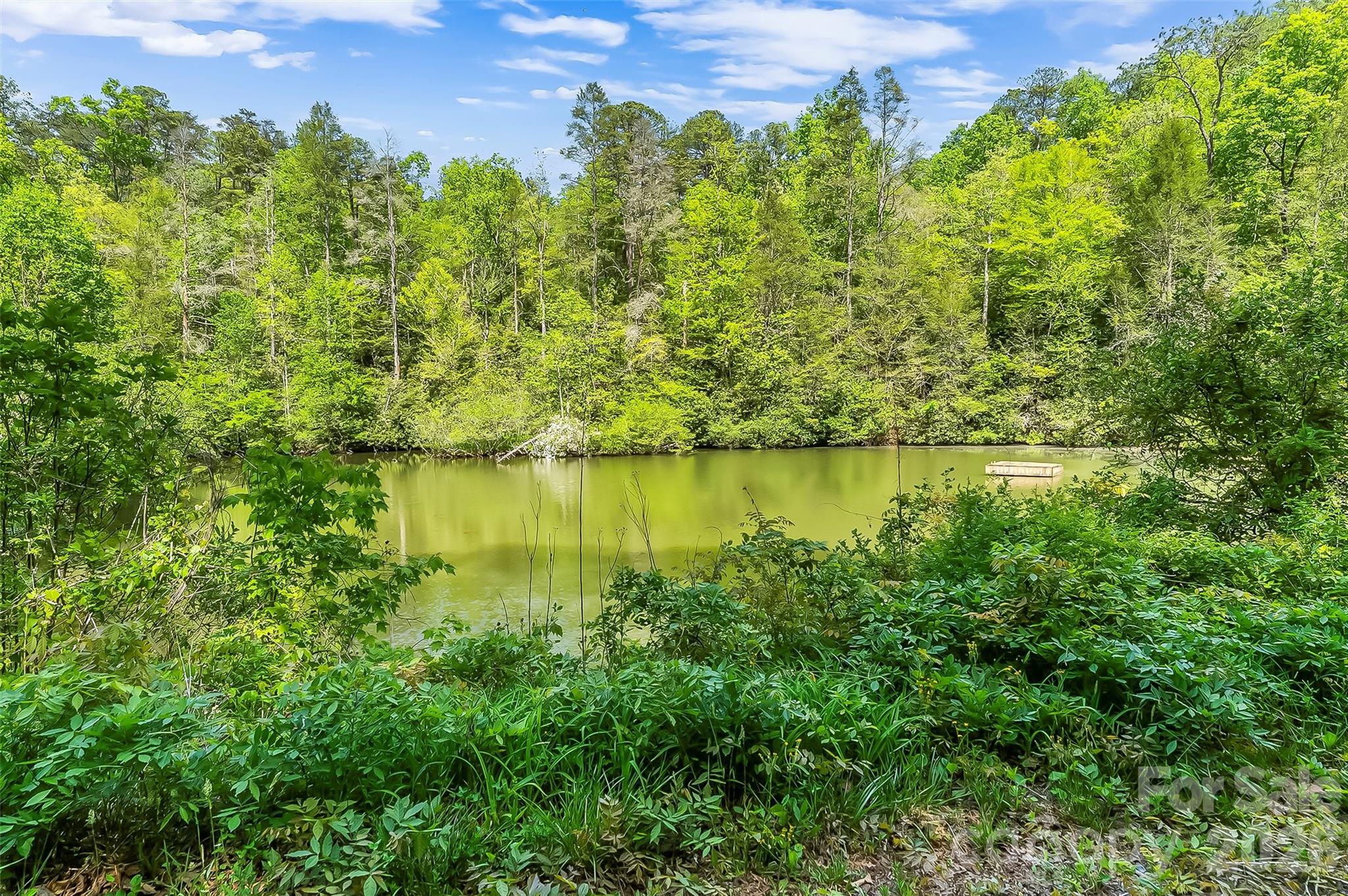 586 Liberty Church Road — Marion