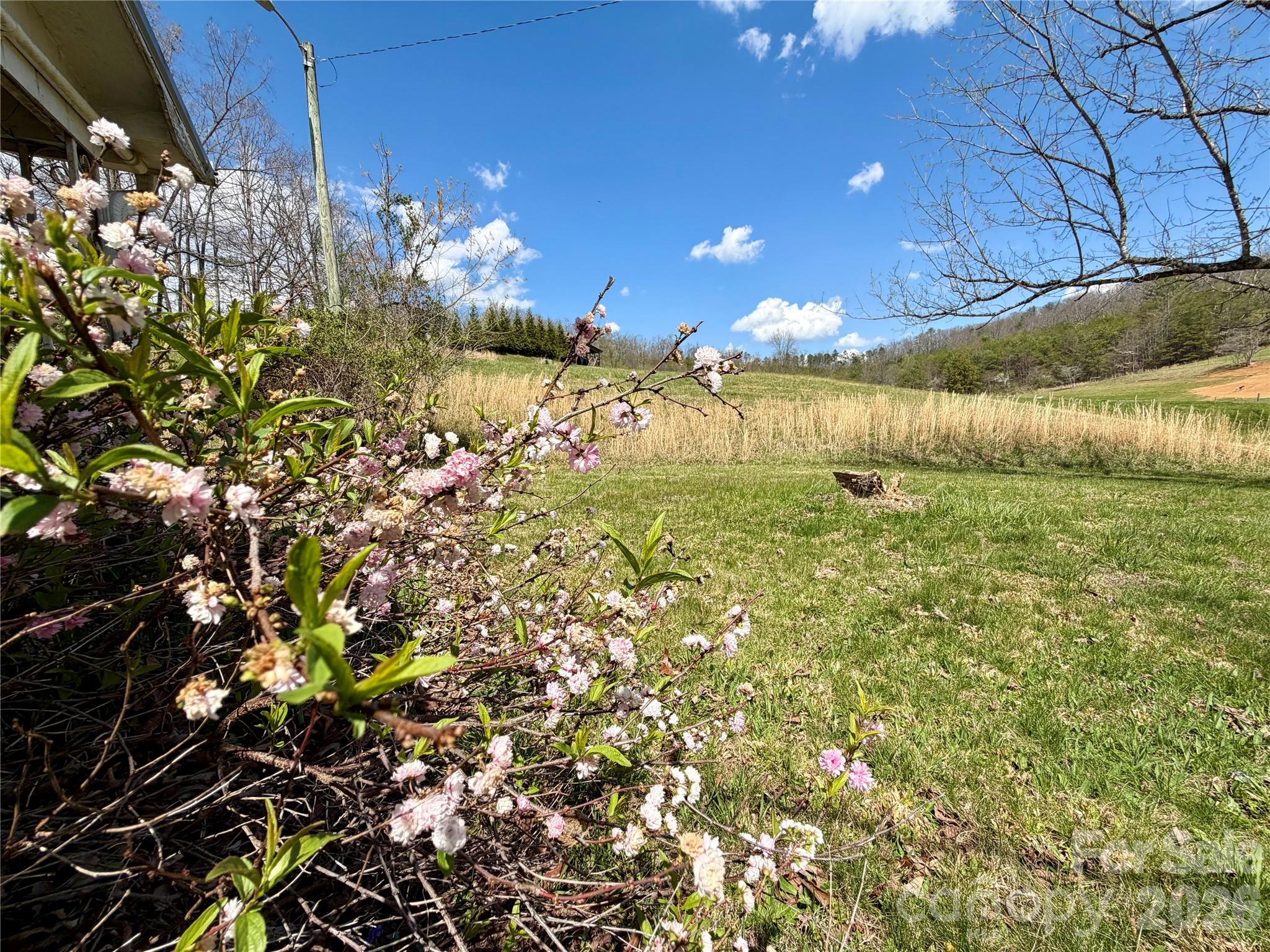637 Fletcher Martin Road — Alexander