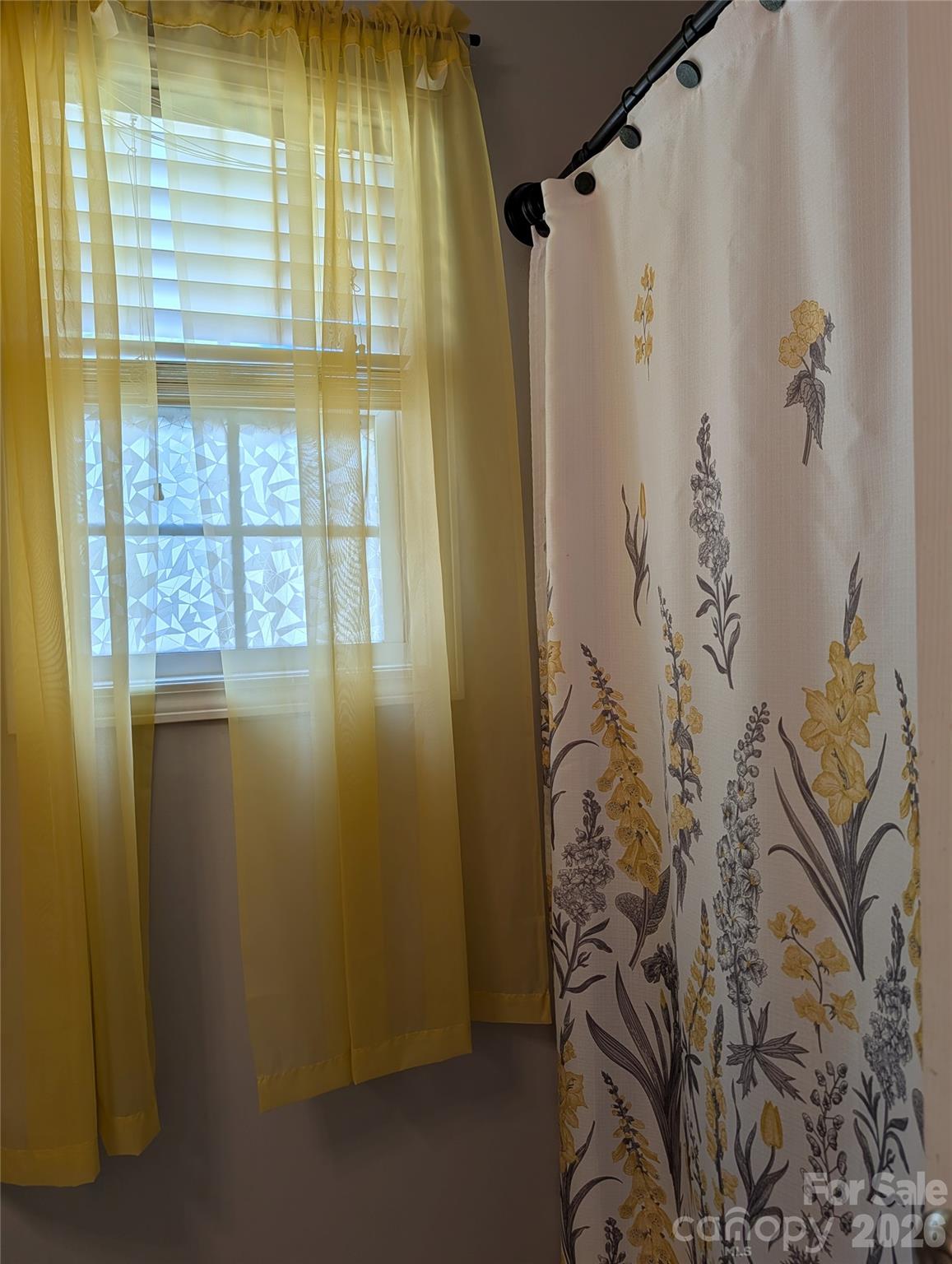 505 Azure Avenue — Albemarle