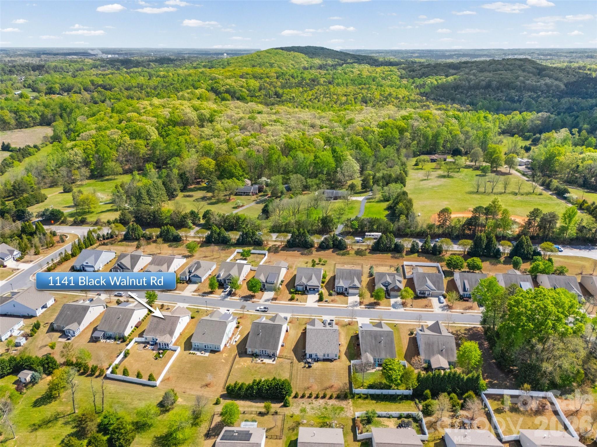 1141 Black Walnut Road — Clover
