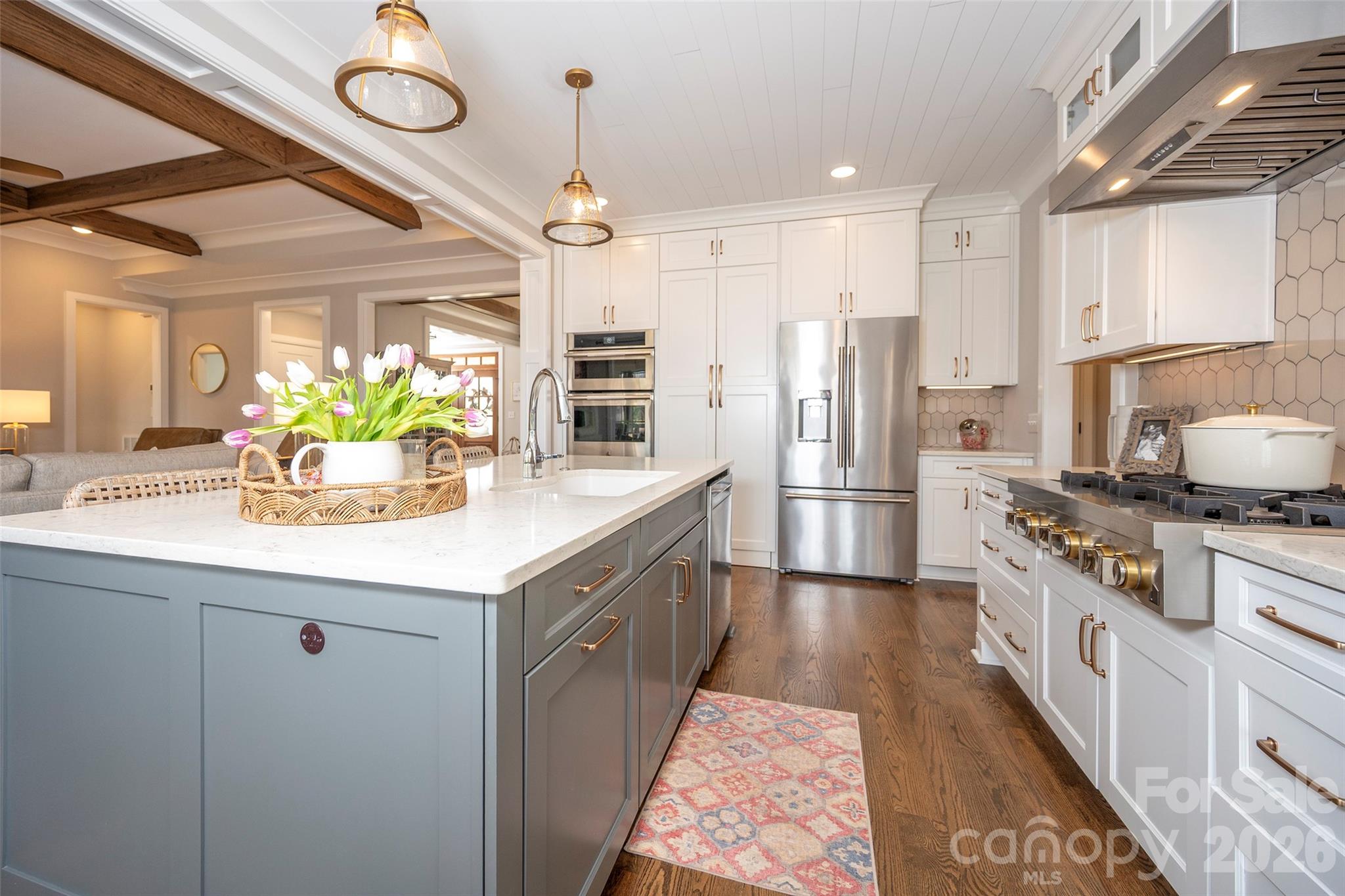 385 Lissara Lodge Drive — Lewisville