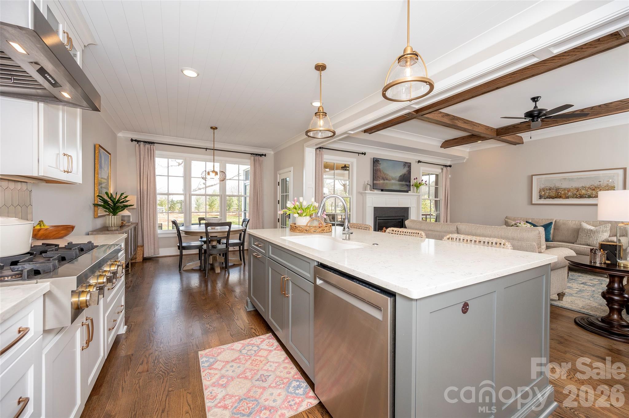 385 Lissara Lodge Drive — Lewisville