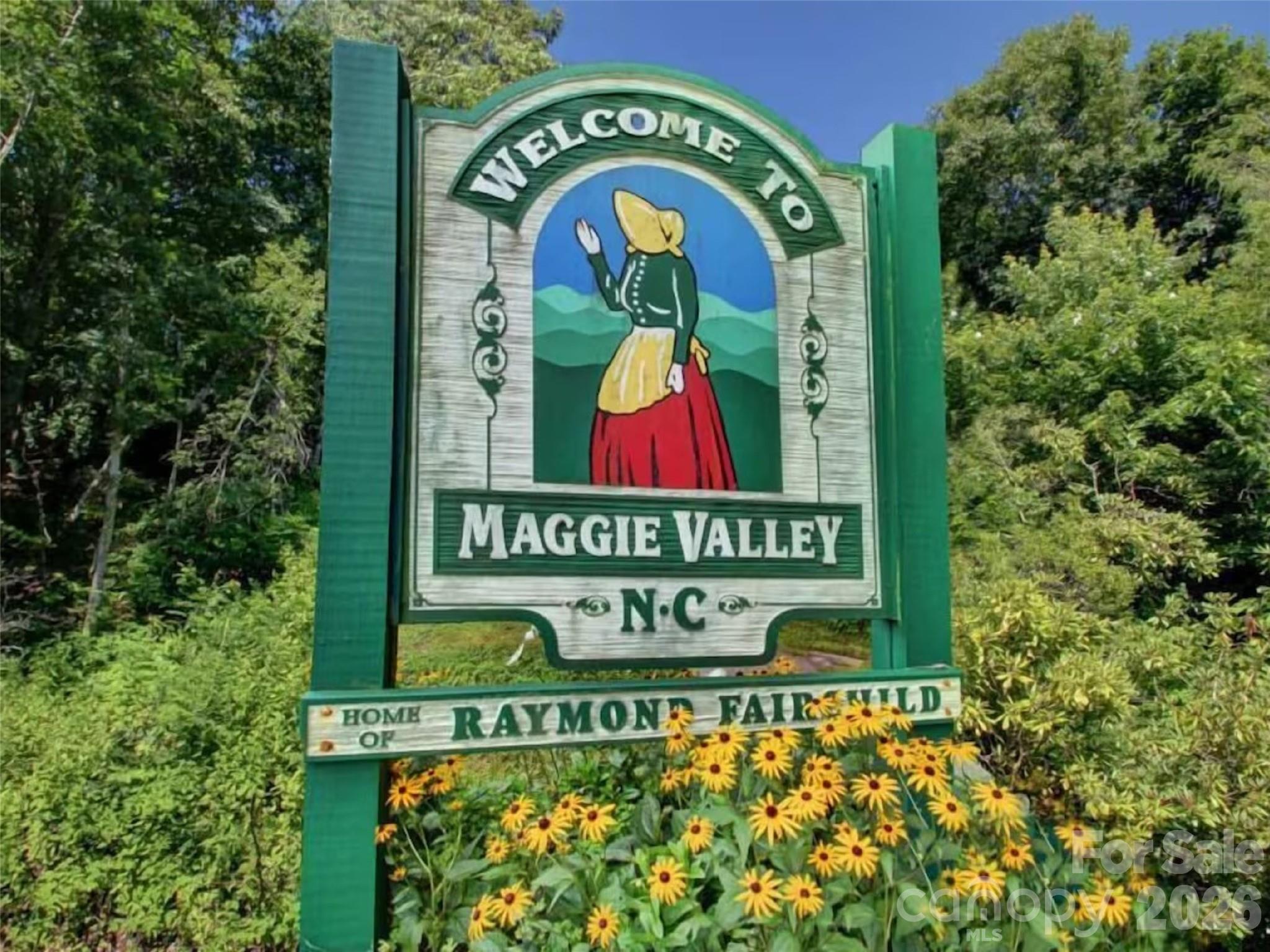 505 Middle Top Loop — Maggie Valley