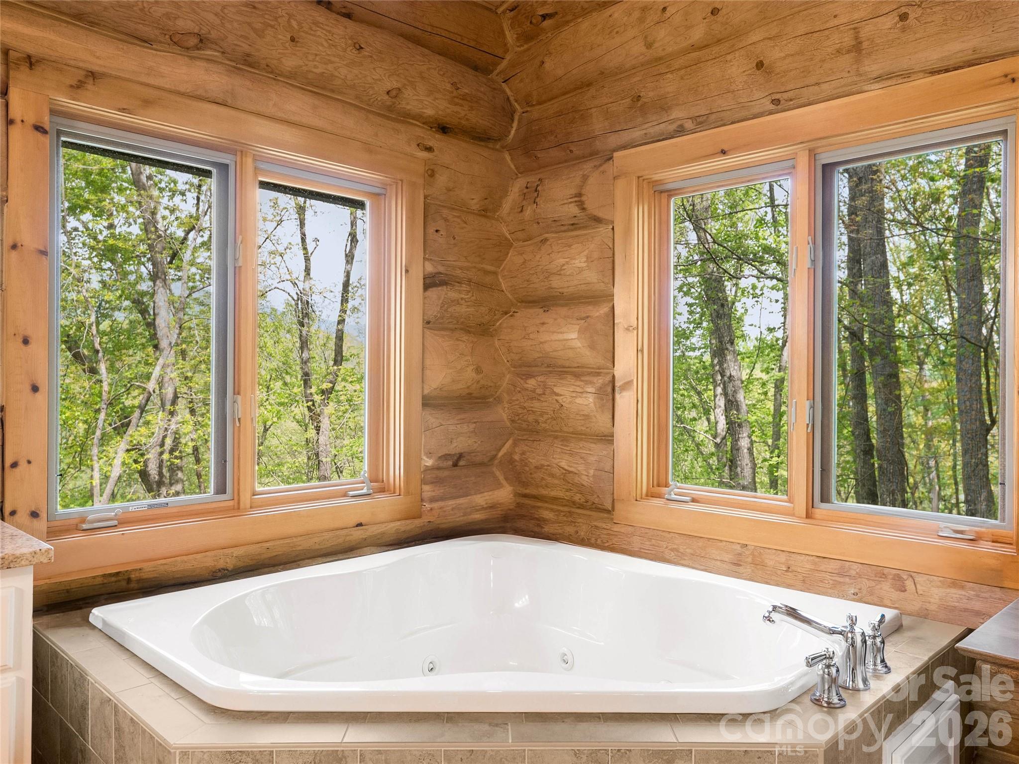 4004 Lake Adger Parkway — Mill Spring