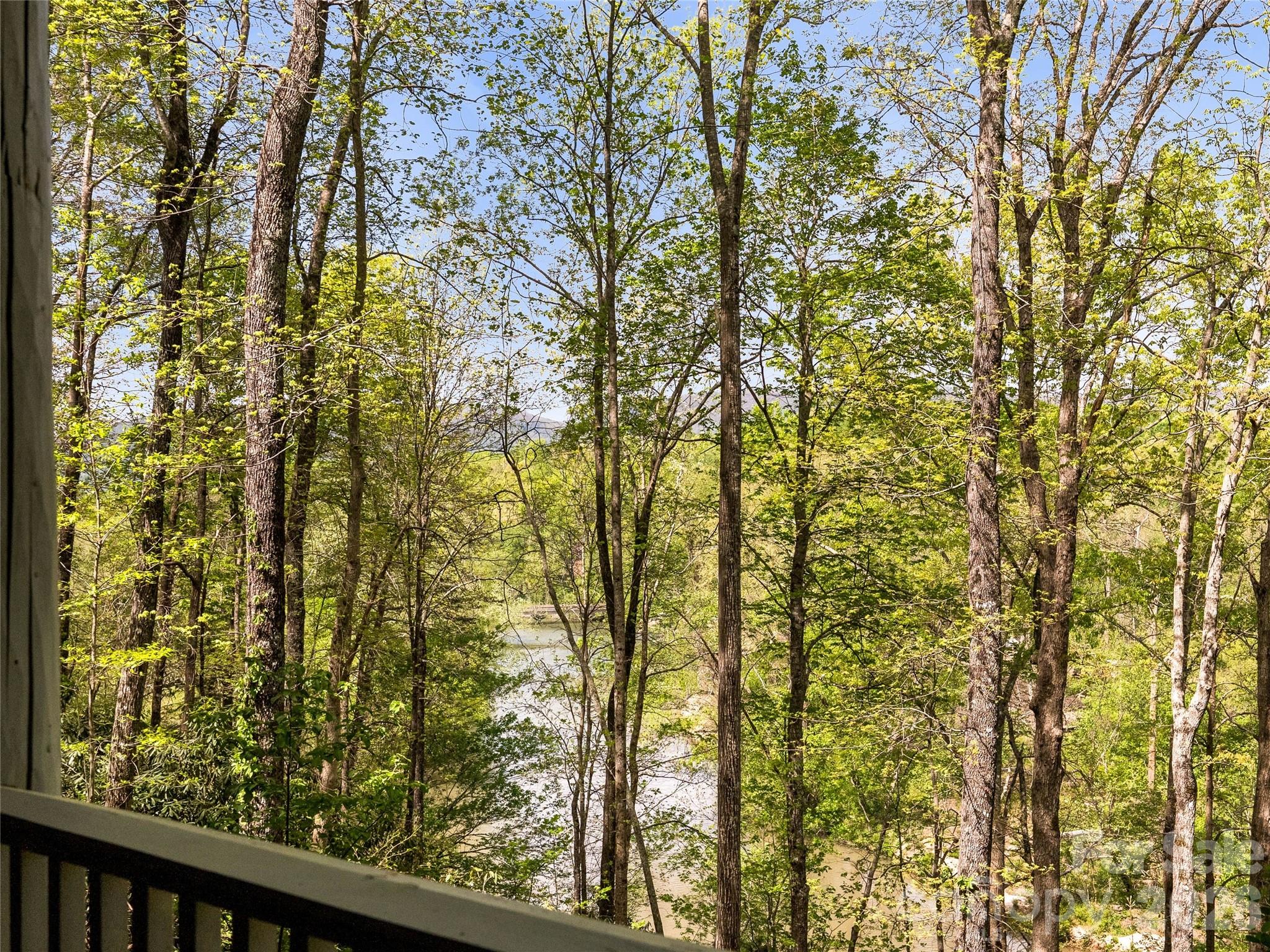 4004 Lake Adger Parkway — Mill Spring