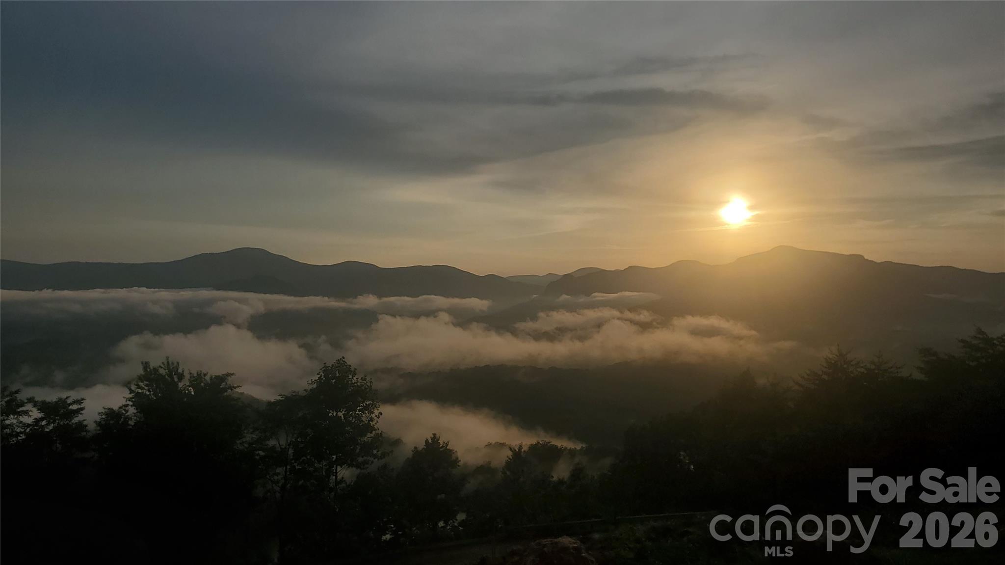 246 Half Moon Mile None — Lake Lure