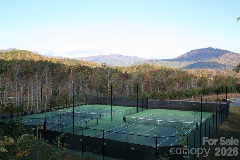 246 Half Moon Mile None — Lake Lure