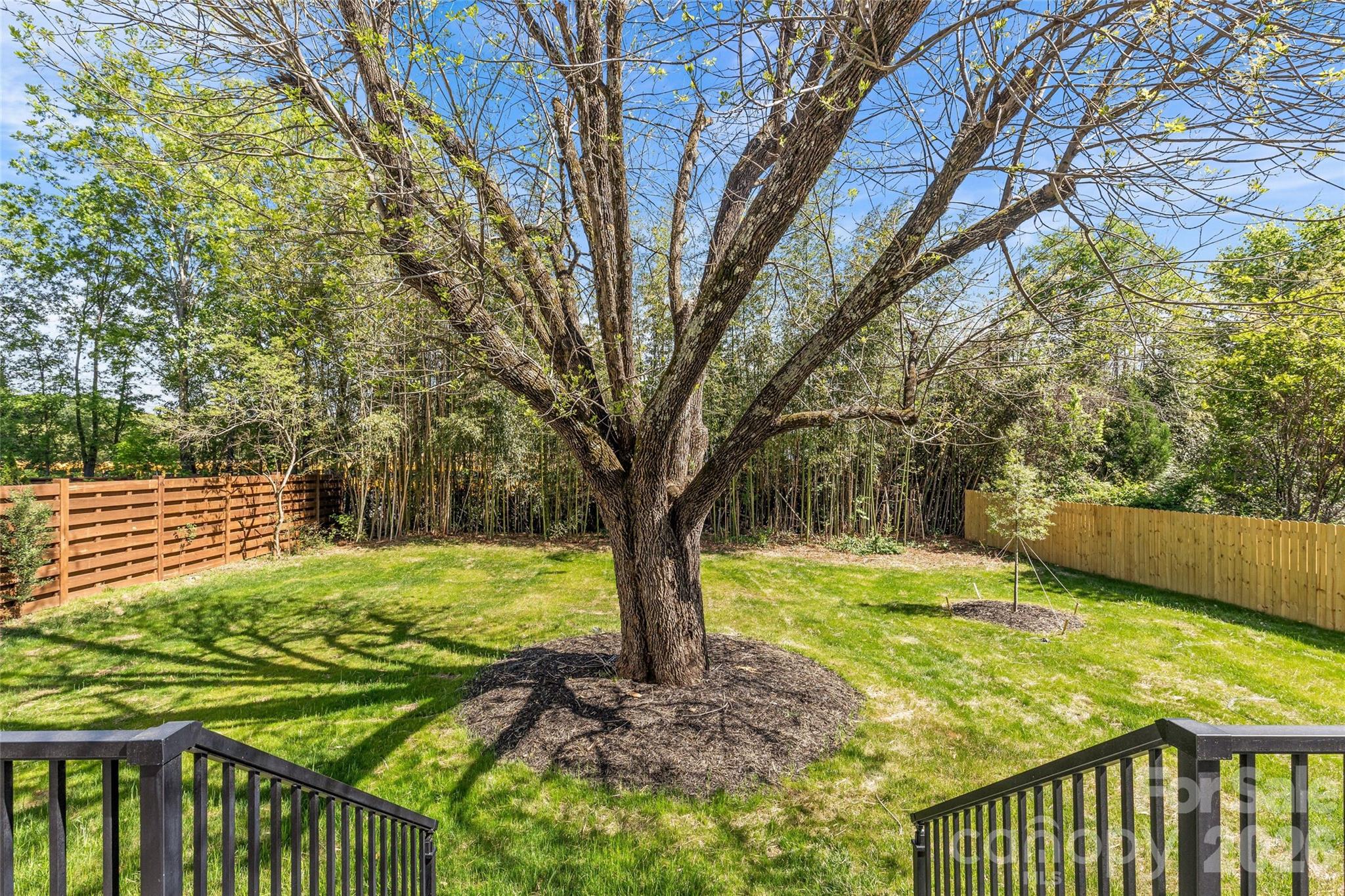 1344 Richland Drive — Charlotte