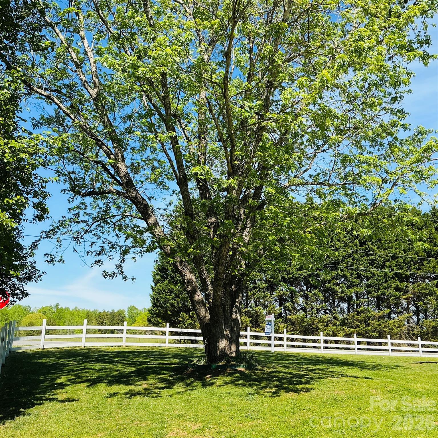 5226 Old Plank Road — Iron Station