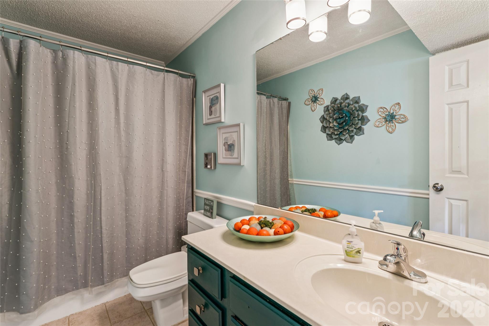 5812 Harris Grove Lane — Charlotte