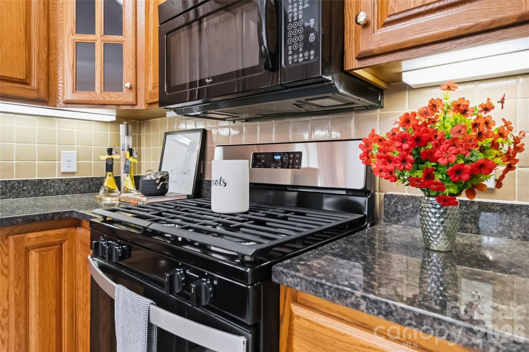 11177 Villa Trace Place — Charlotte