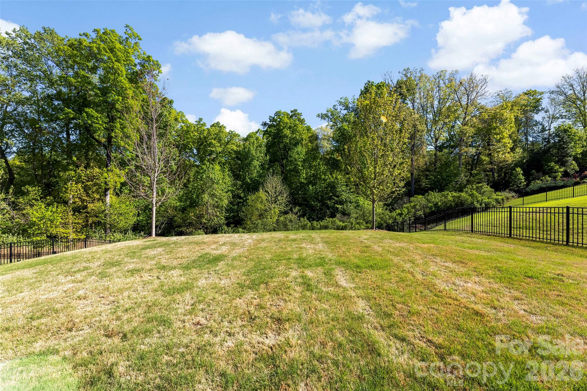 4100 Spring Cove Way — Belmont