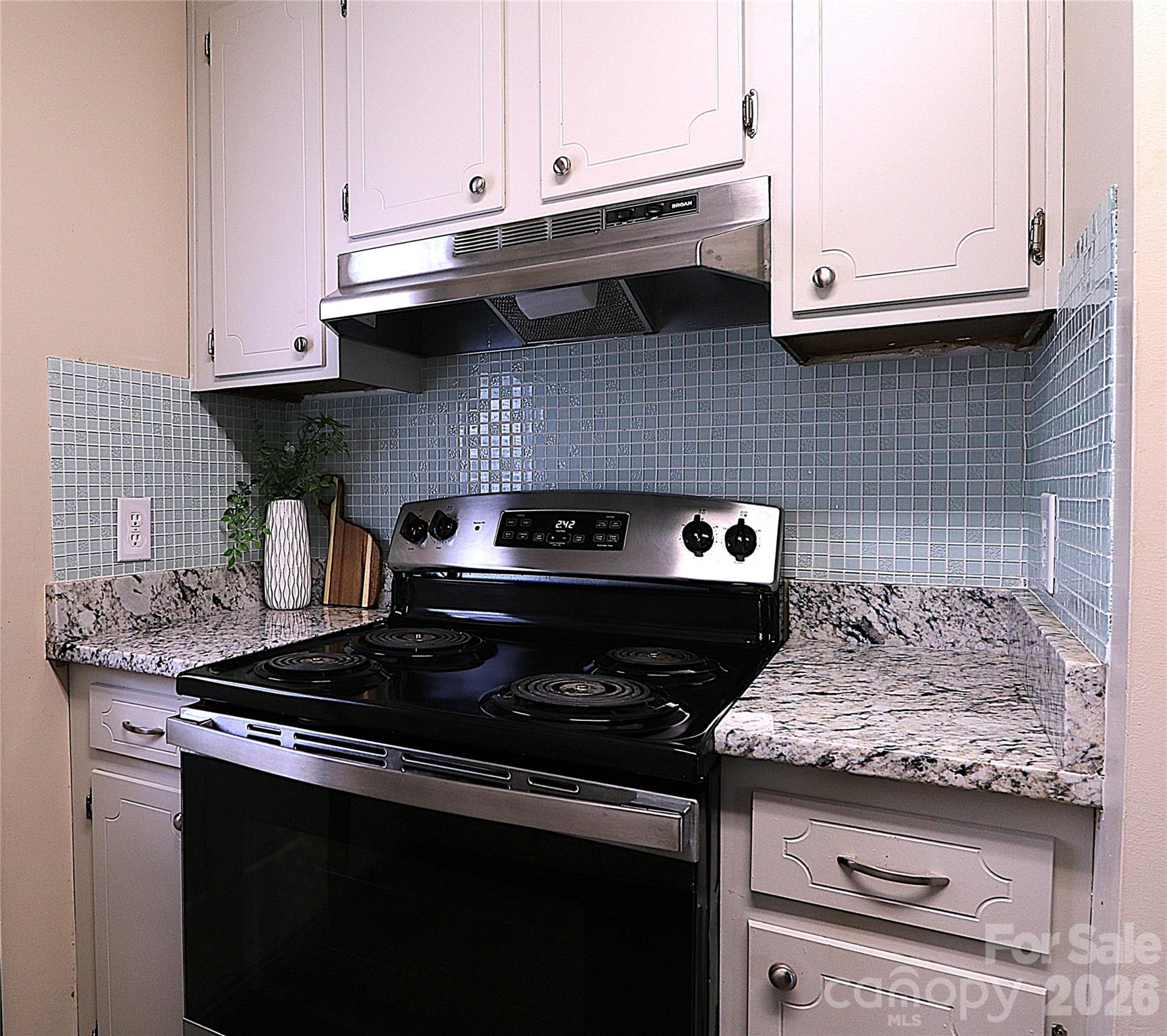 525 SW 12th Street SW #29 — Hickory
