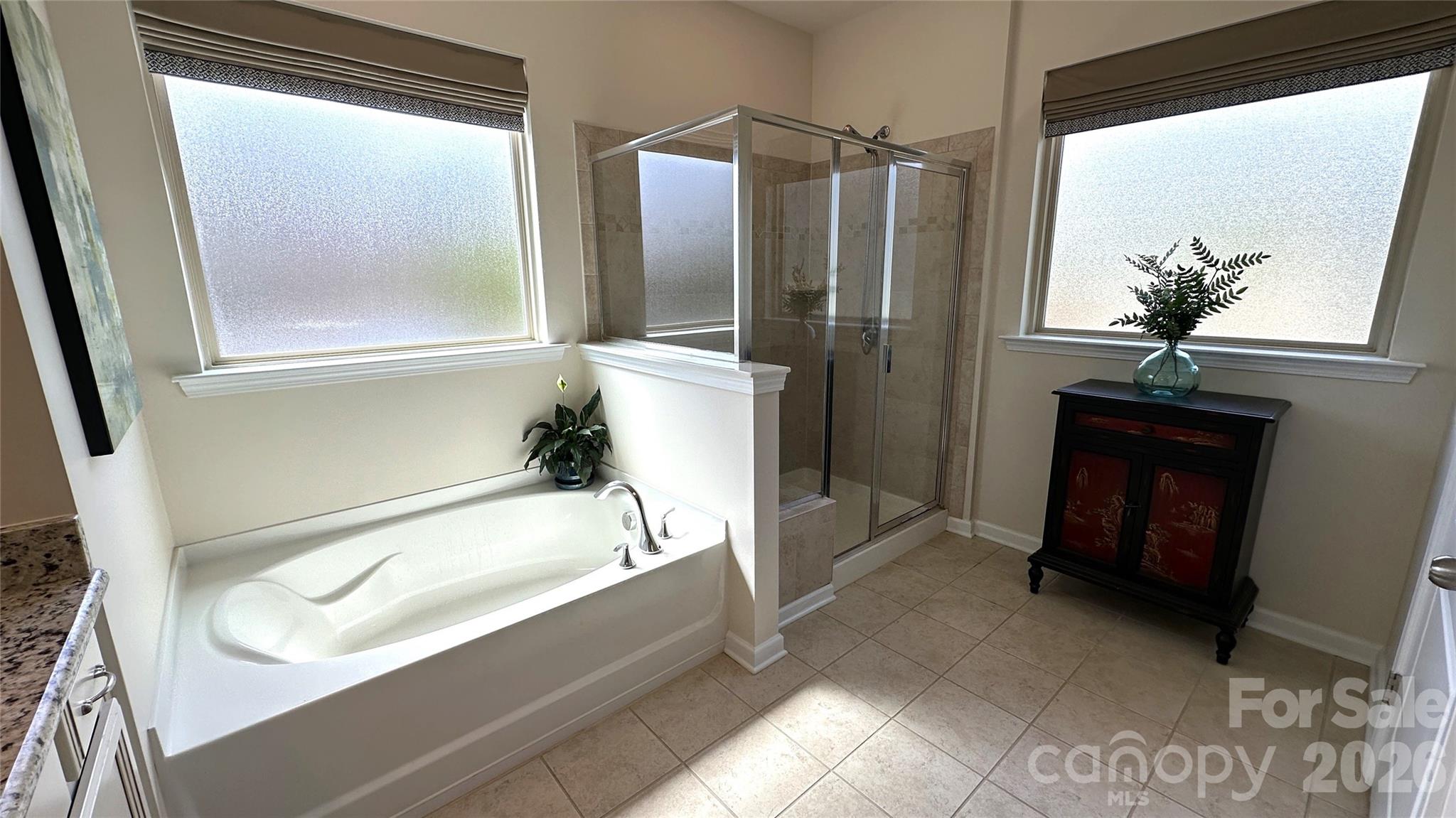 596 Moses Drive — Fort Mill