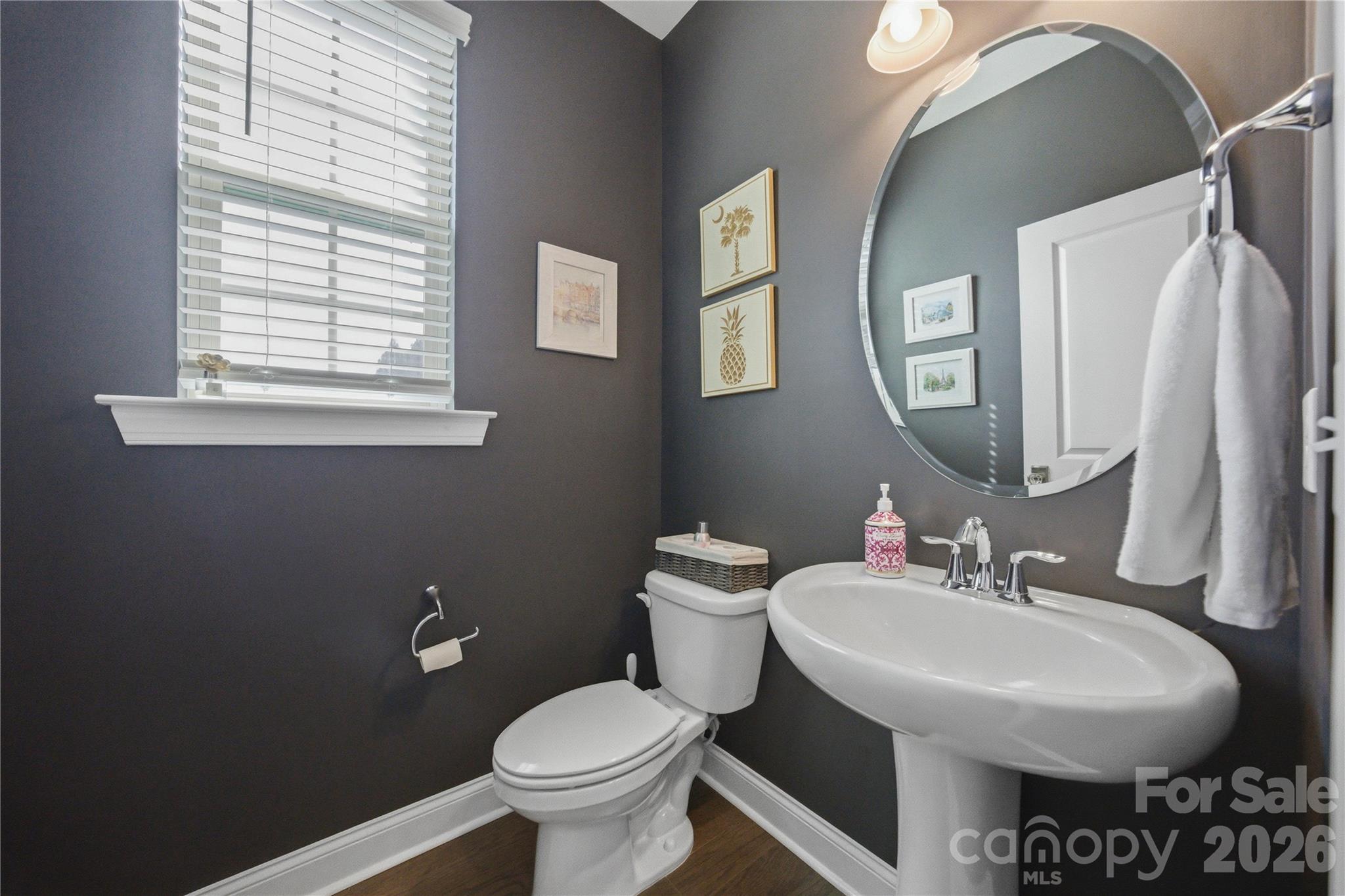 1105 Towns Hill Way — Charlotte