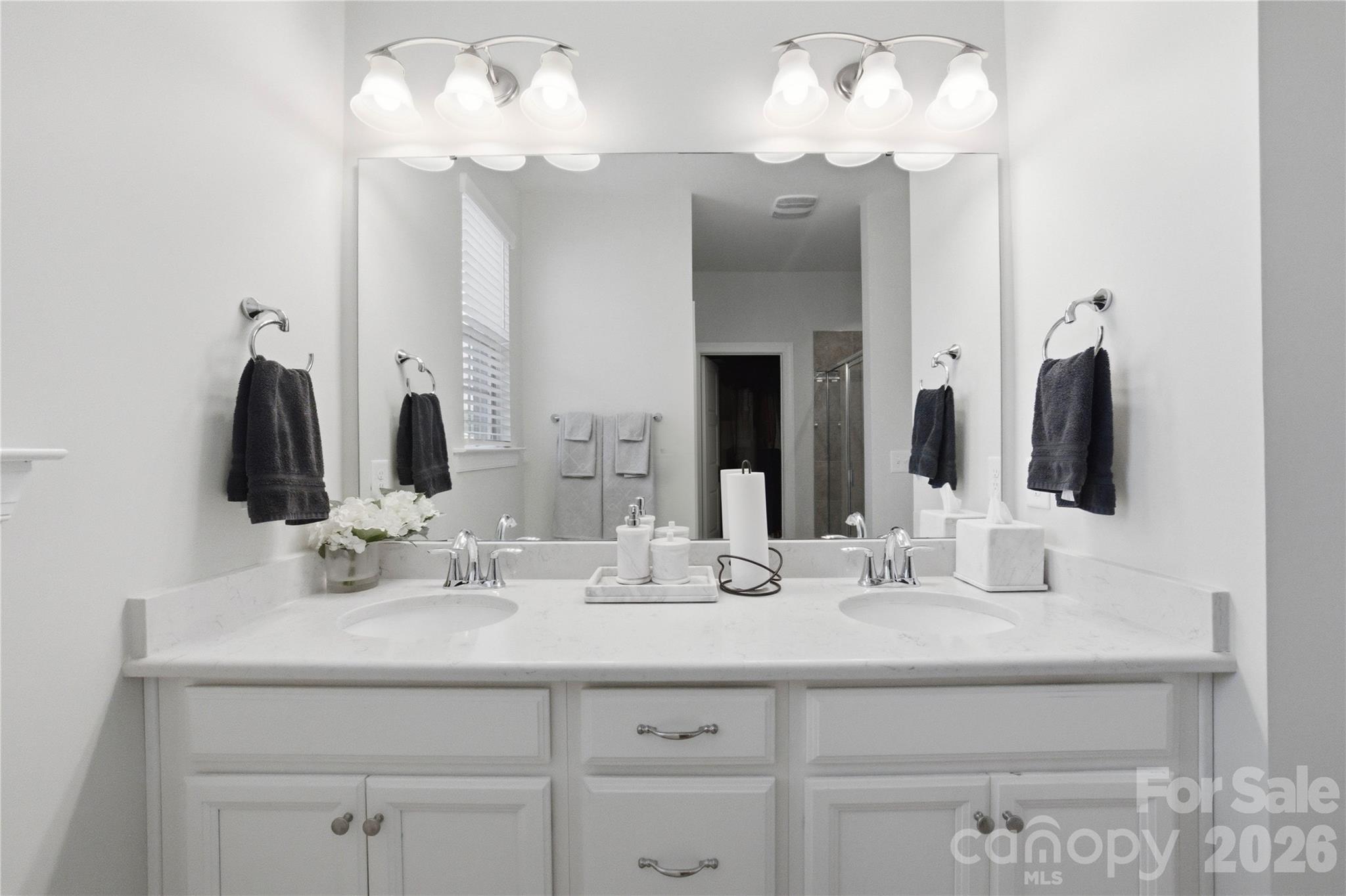 1105 Towns Hill Way — Charlotte
