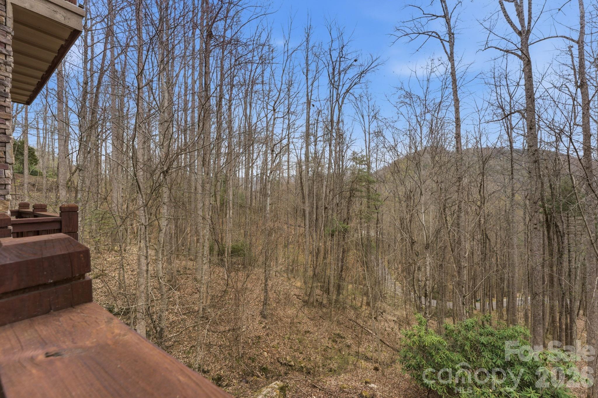 150 Saddle Notch Lane #Unit A-1 — Tuckasegee