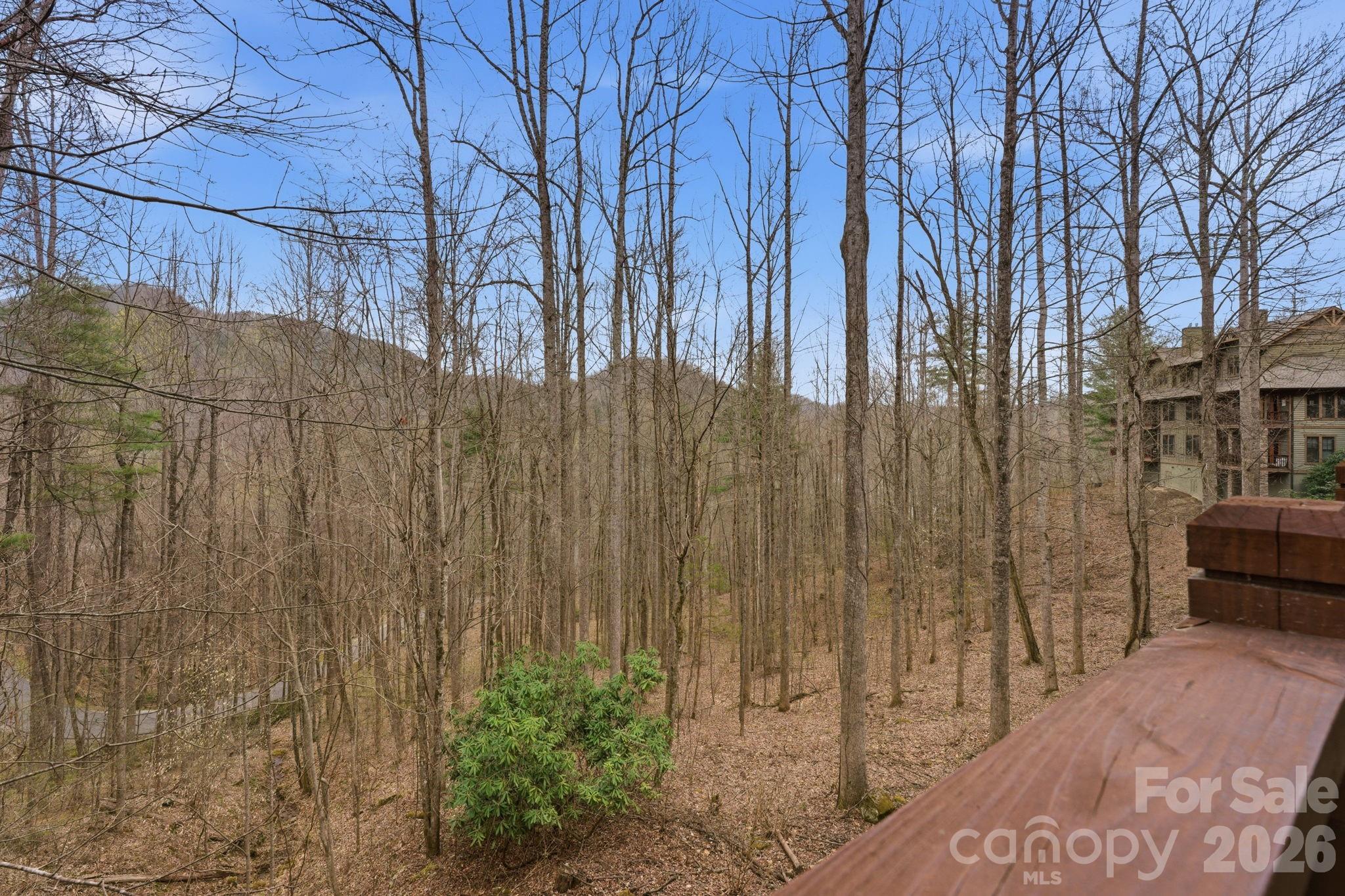 150 Saddle Notch Lane #Unit A-1 — Tuckasegee