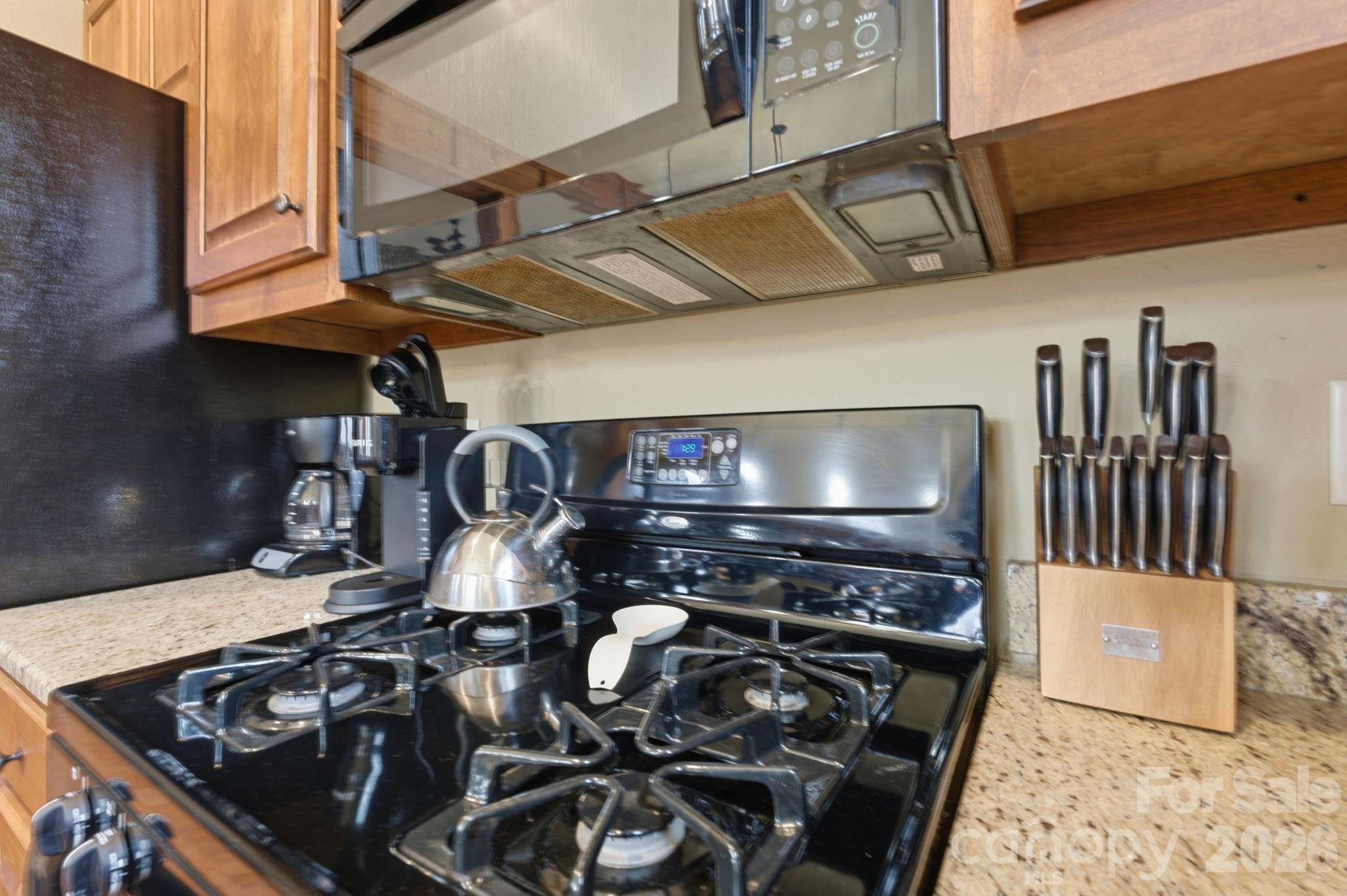 150 Saddle Notch Lane #Unit A-1 — Tuckasegee