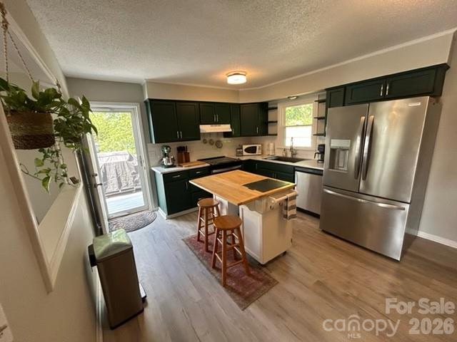 191 Celeste Eufola Road — Statesville