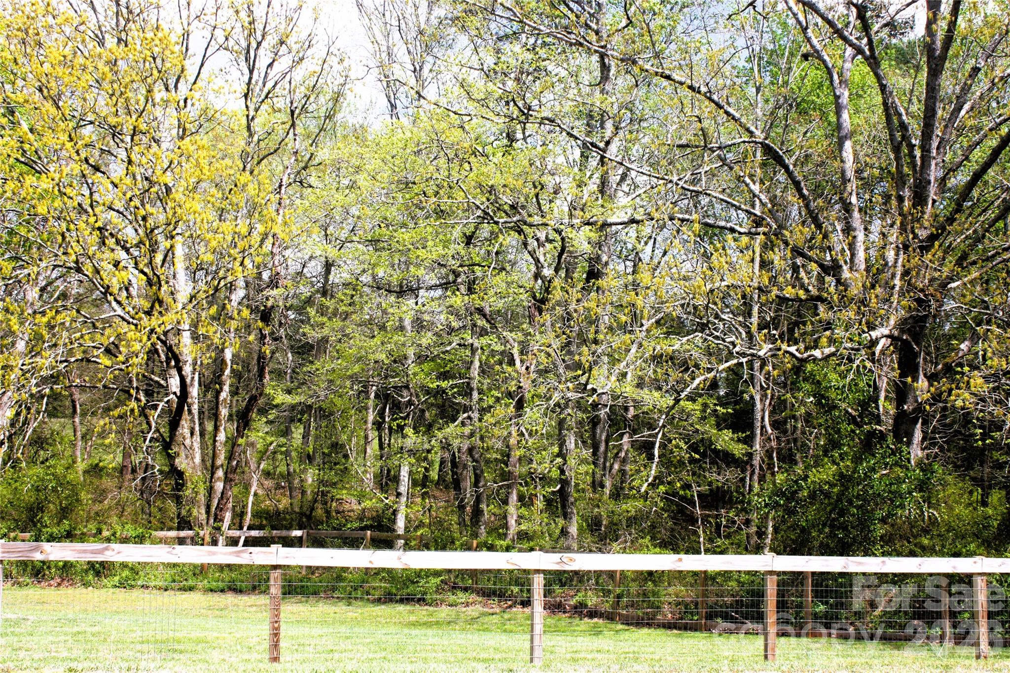 191 Celeste Eufola Road — Statesville