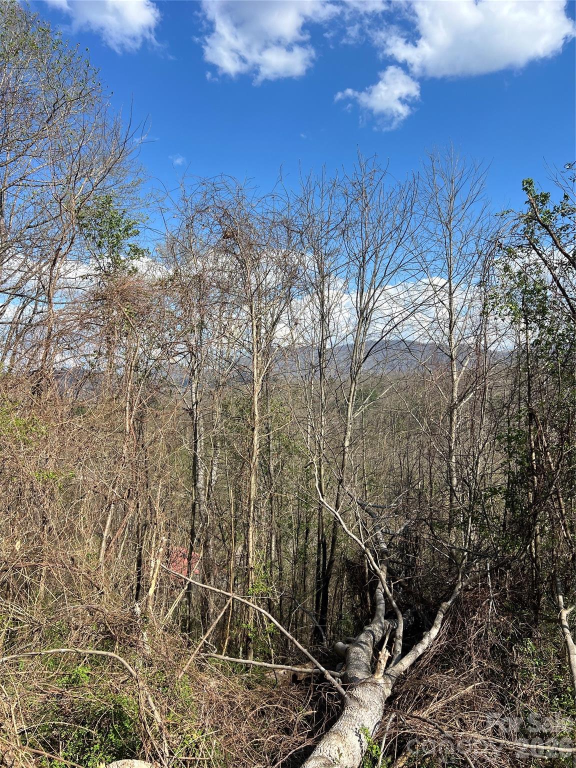 150 Combo Court — Waynesville