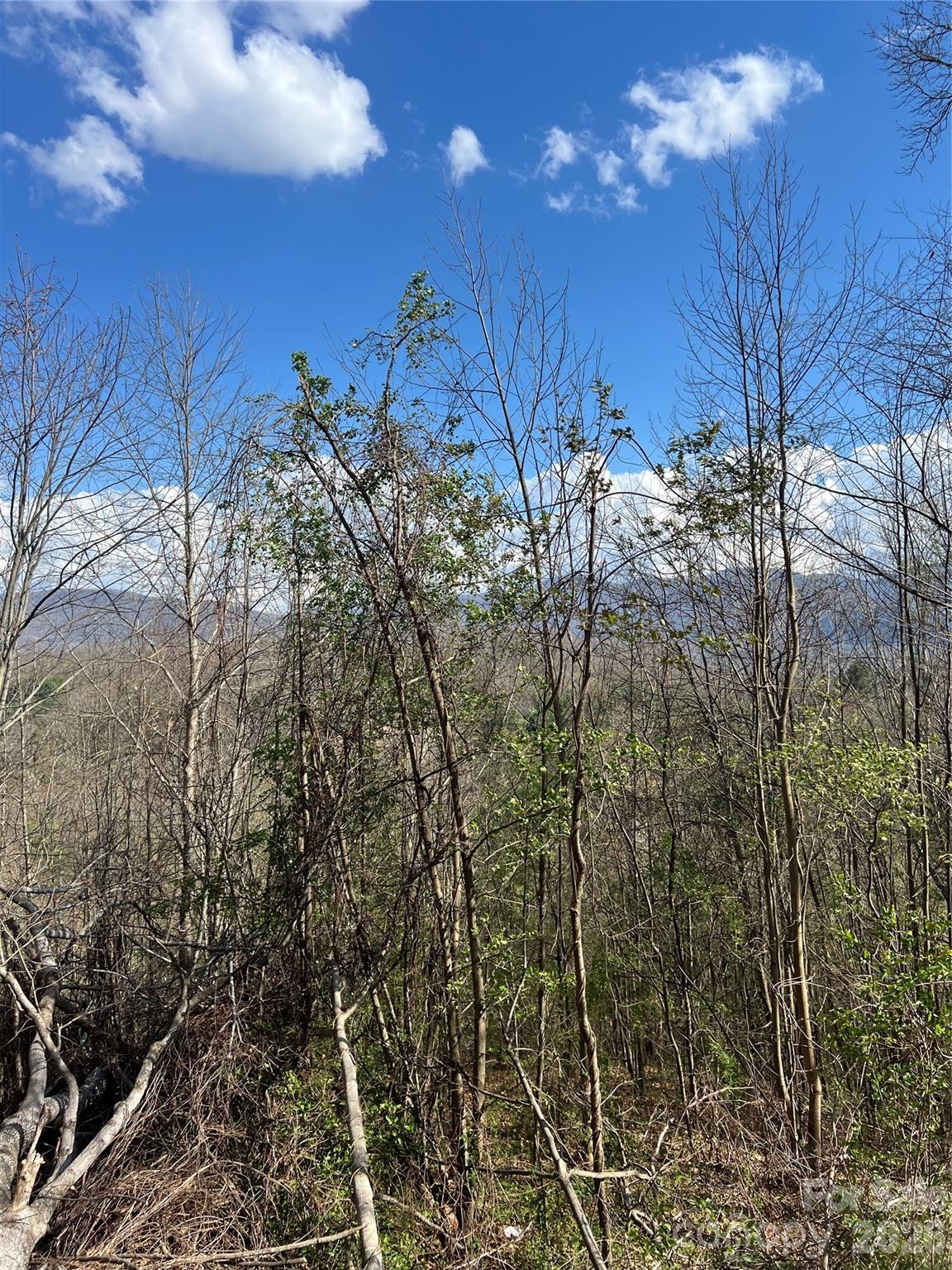 150 Combo Court — Waynesville