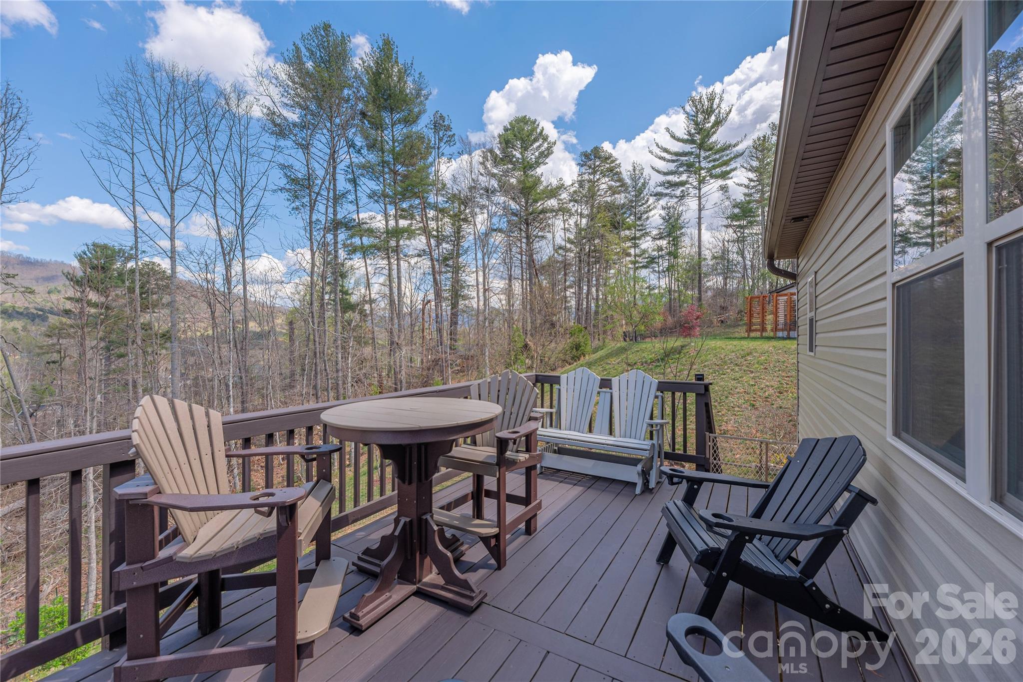 311 Wild Ginger Court — Weaverville