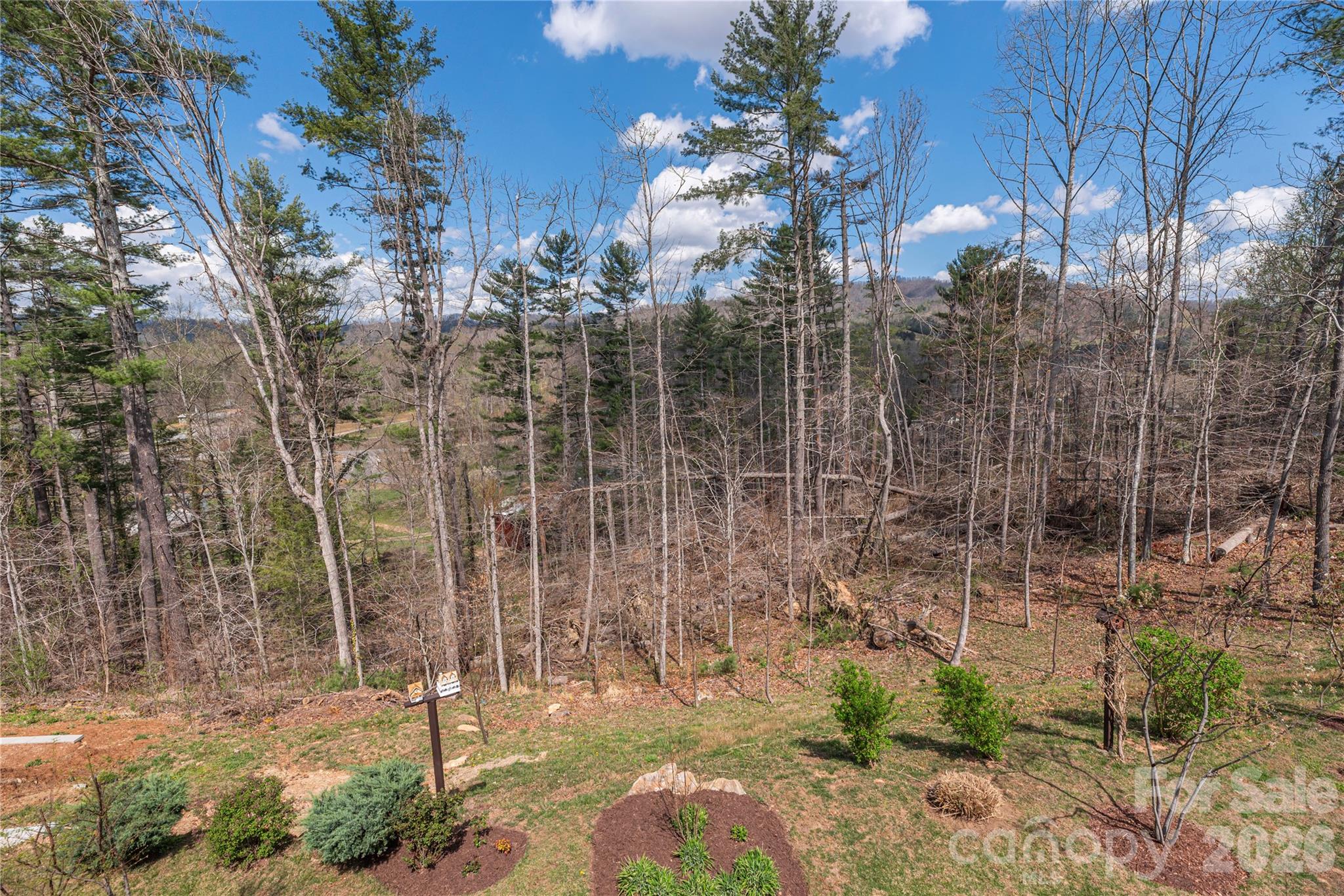 311 Wild Ginger Court — Weaverville