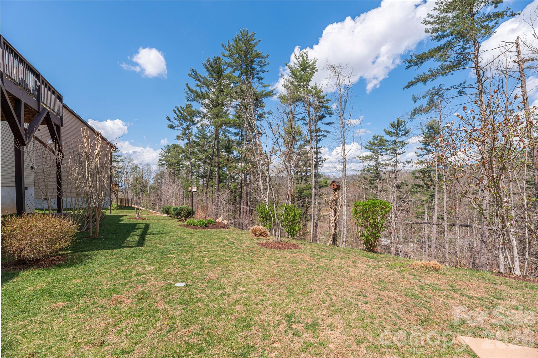 311 Wild Ginger Court — Weaverville