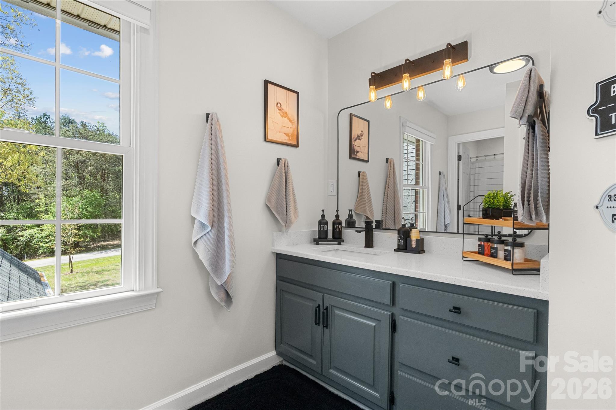 3447 Victorian Hills Drive — Richburg