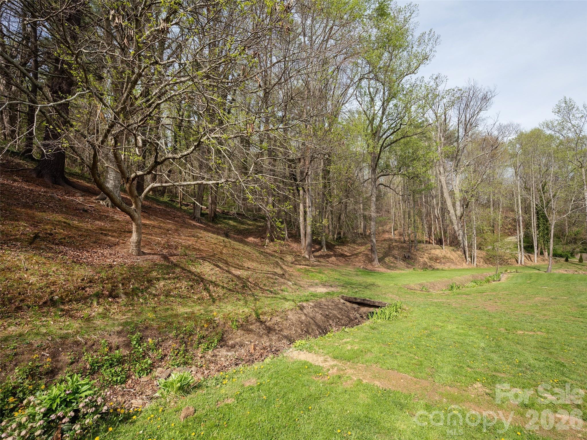 91 Rice Branch Road — Asheville