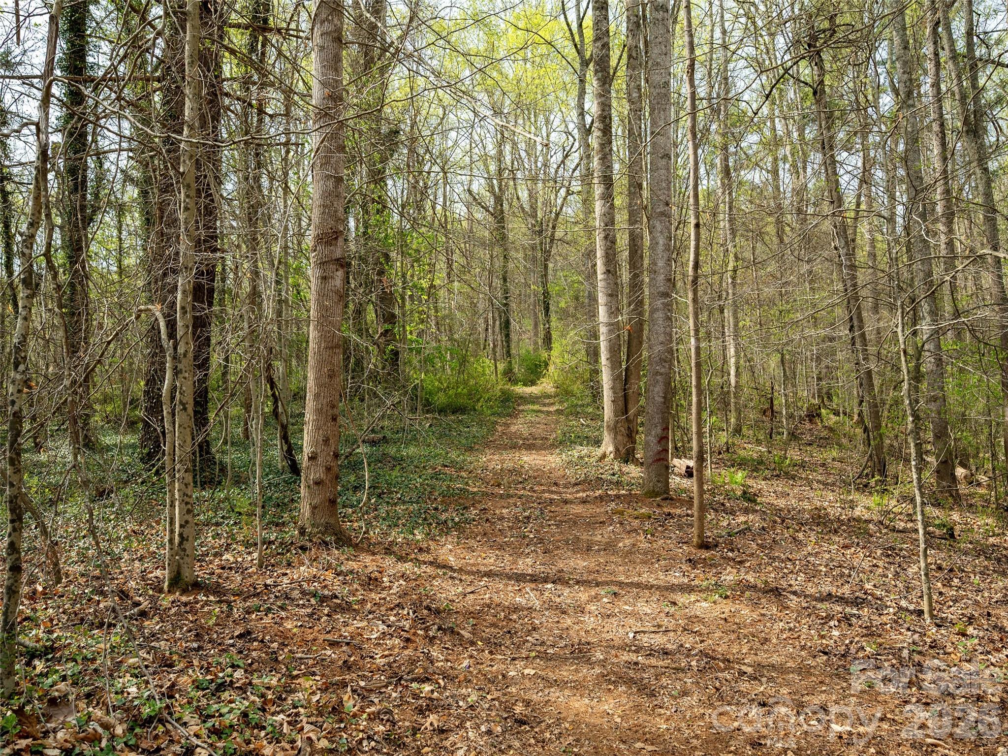 91 Rice Branch Road — Asheville