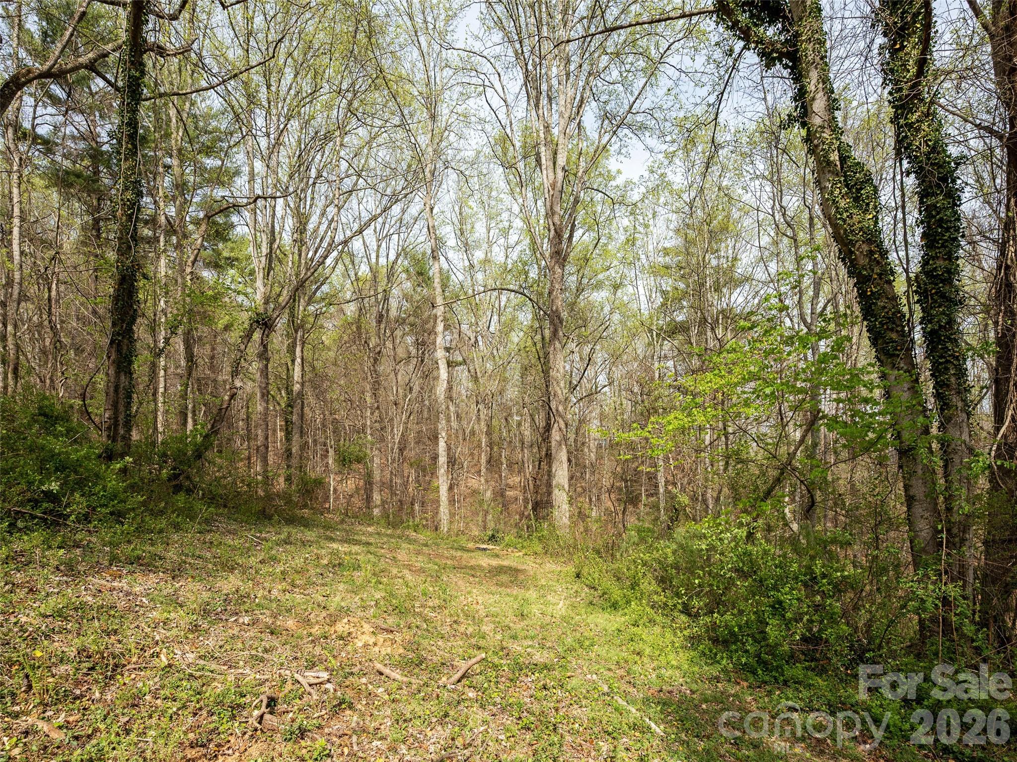 91 Rice Branch Road — Asheville