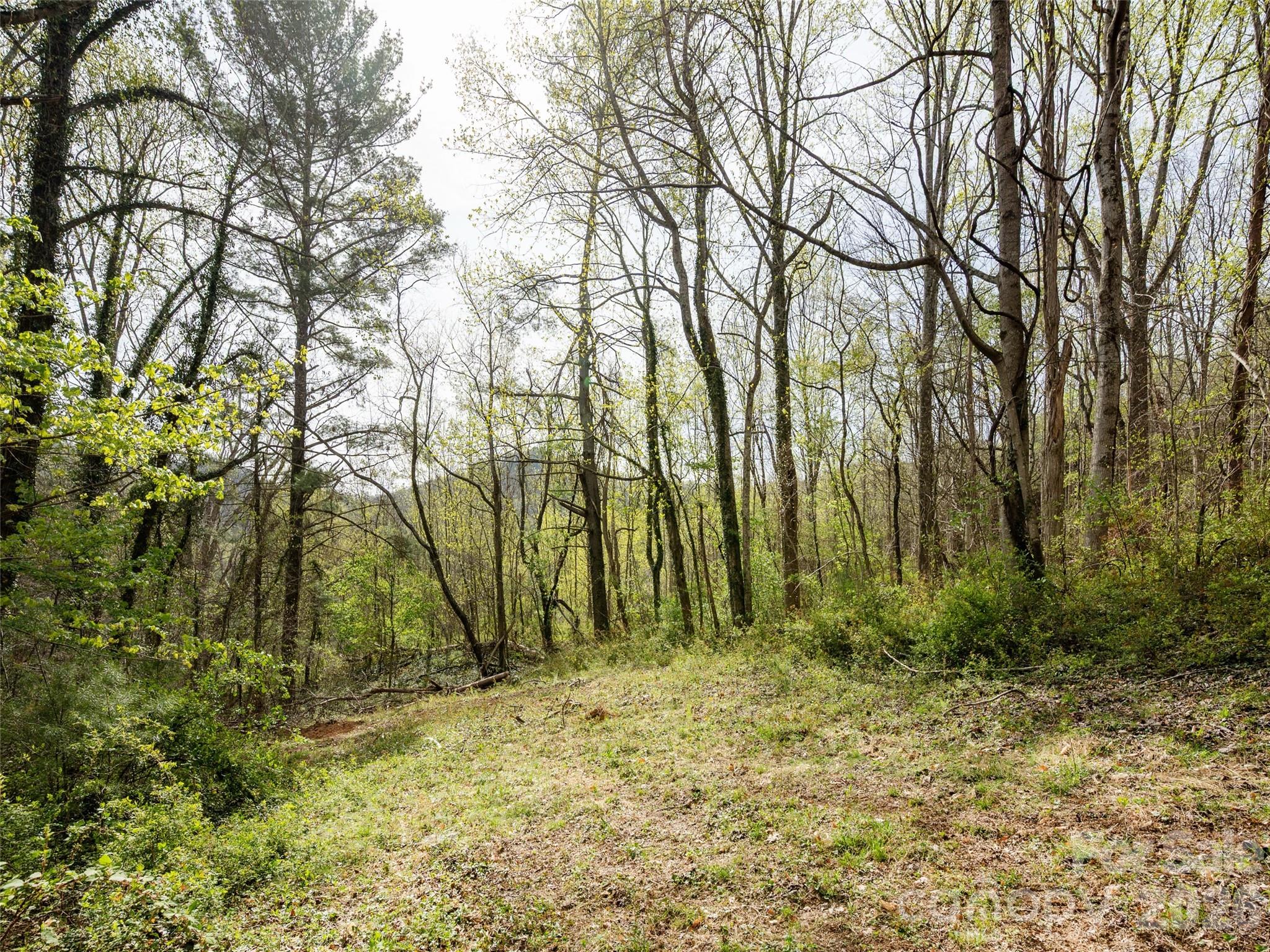 91 Rice Branch Road — Asheville
