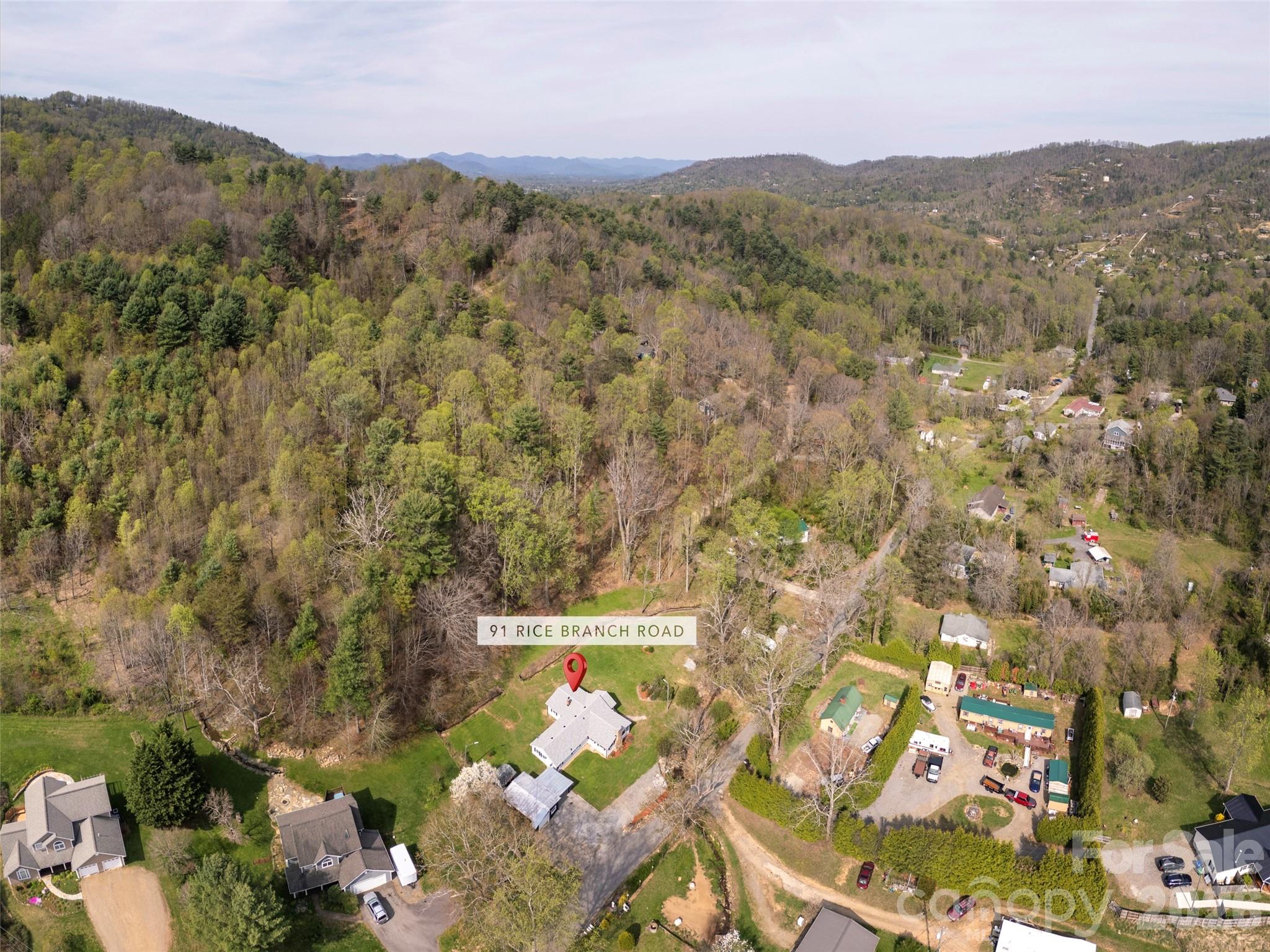 91 Rice Branch Road — Asheville