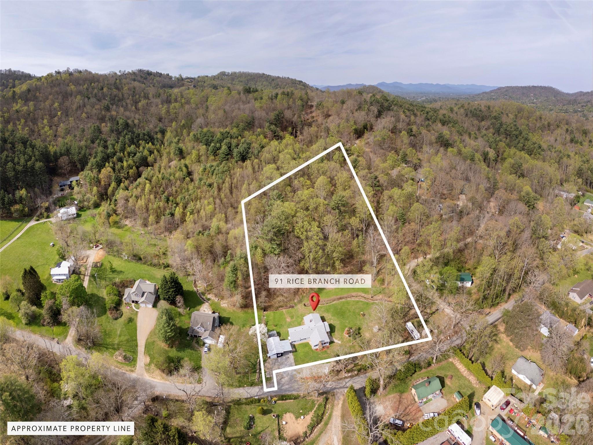 91 Rice Branch Road — Asheville