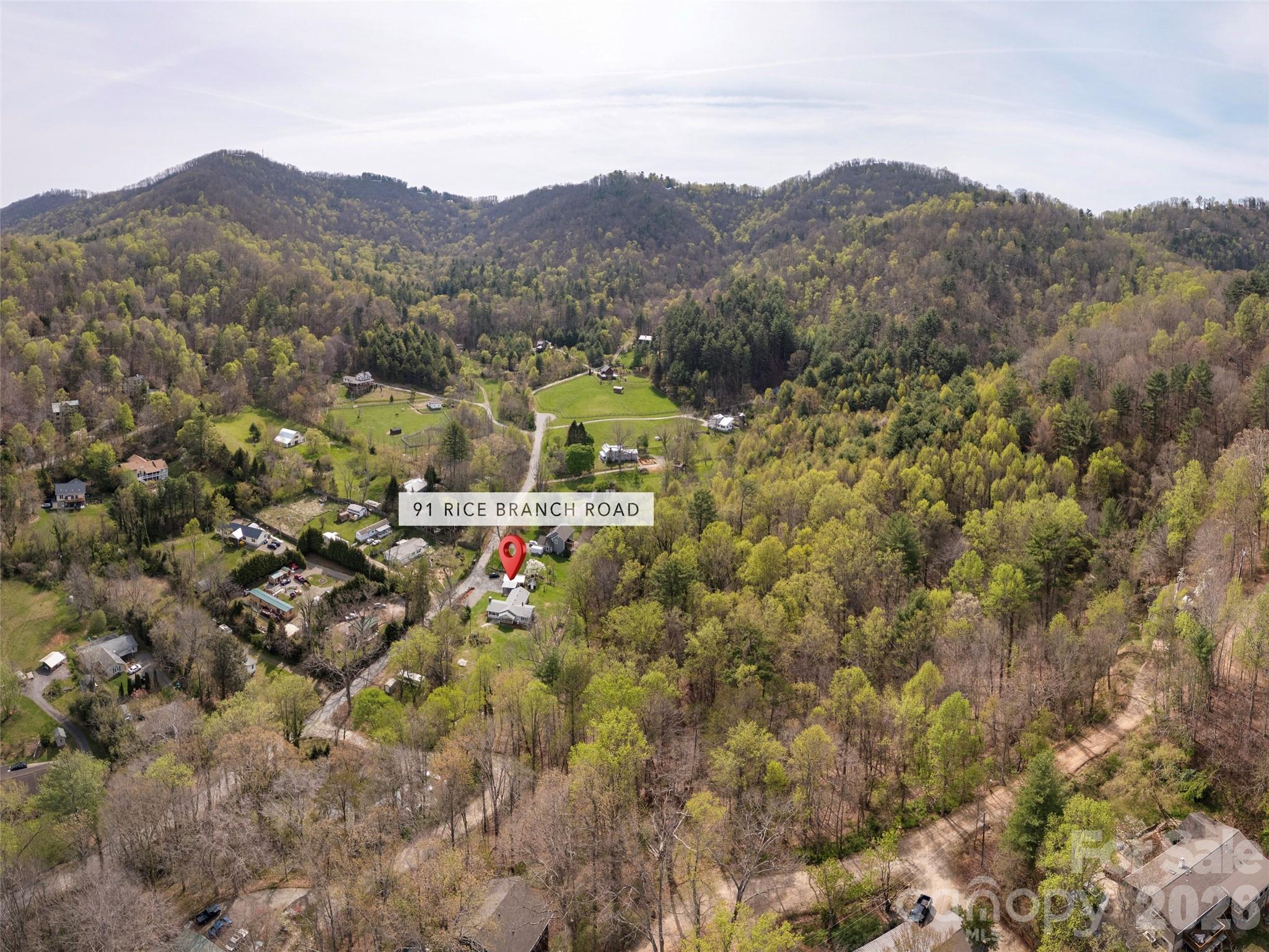 91 Rice Branch Road — Asheville