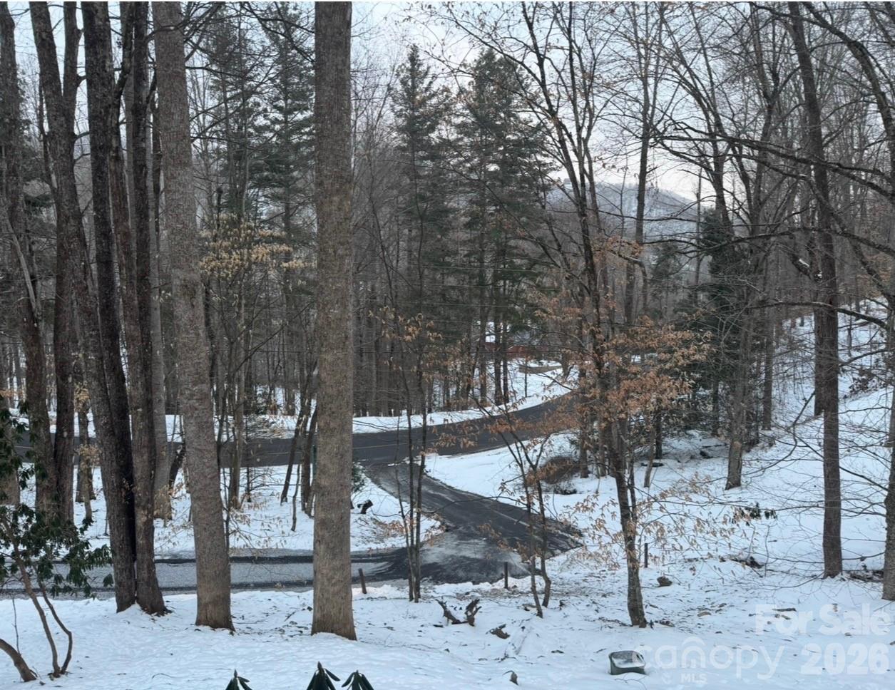 61 Greer Way — Mars Hill